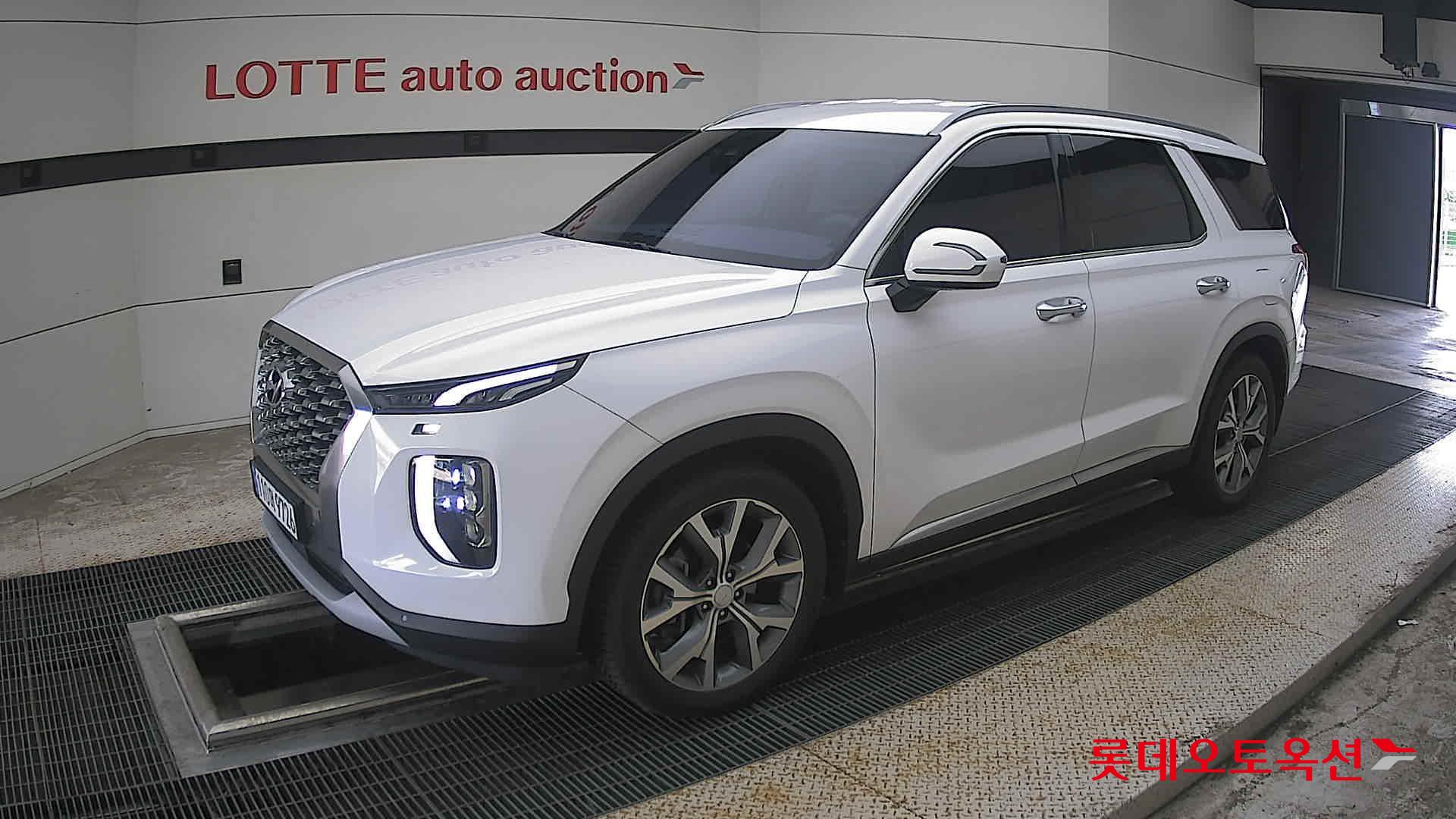 2019 - hyundai palisade