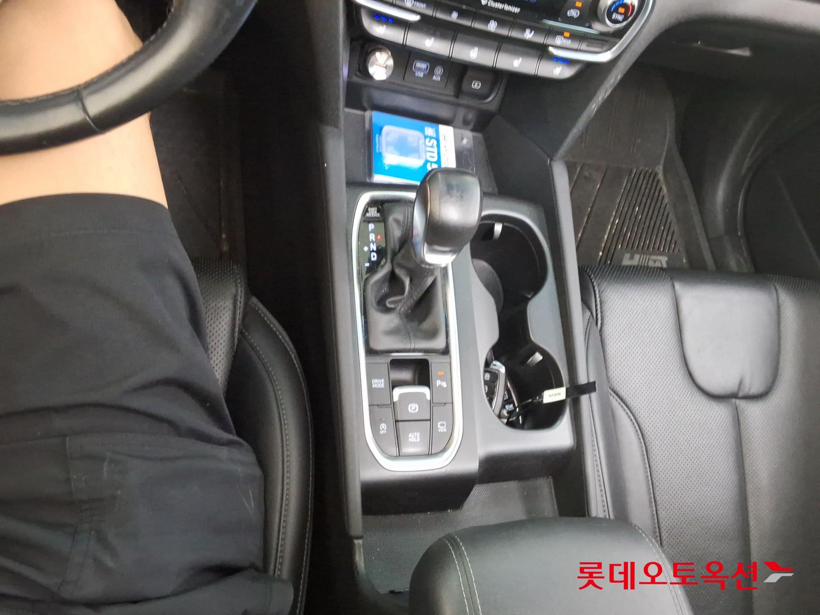 2019 - hyundai santafe