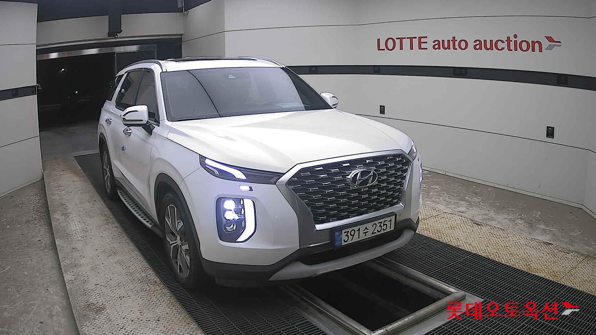 2021 - hyundai palisade