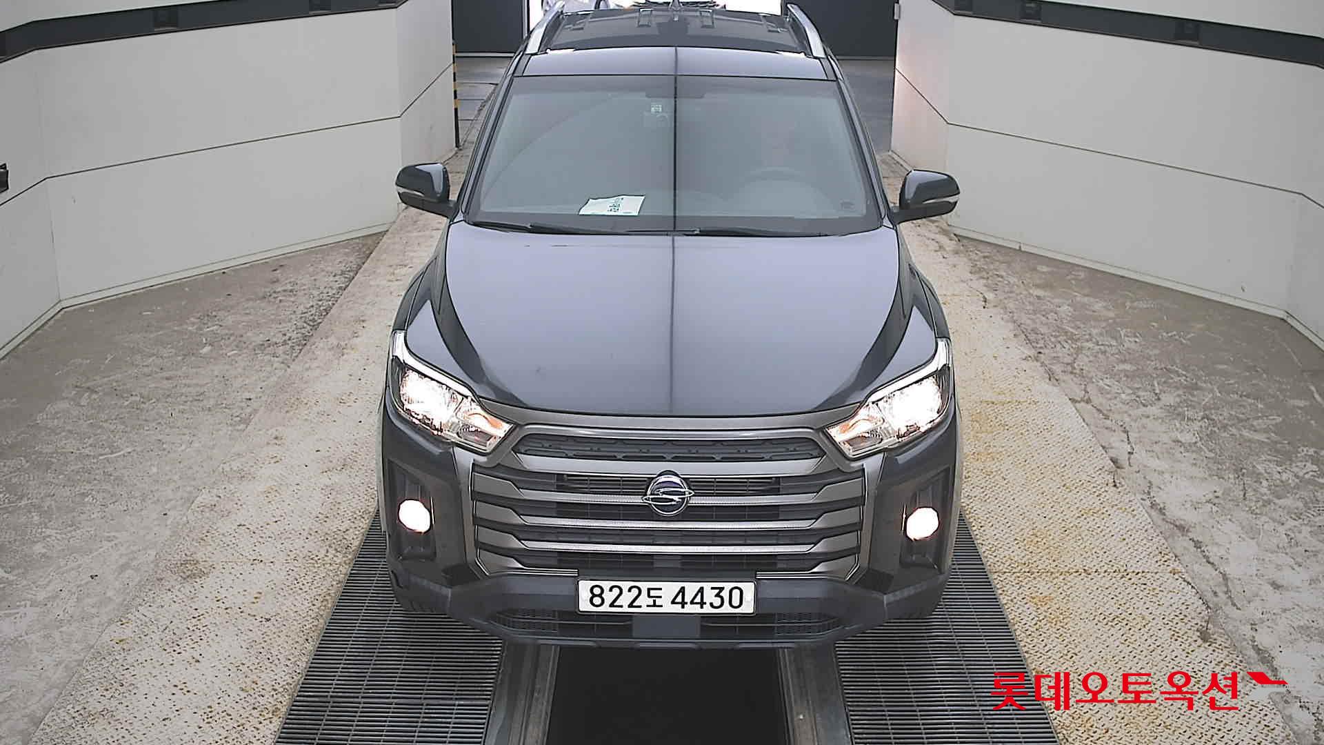 REXTON SPORTS (D)