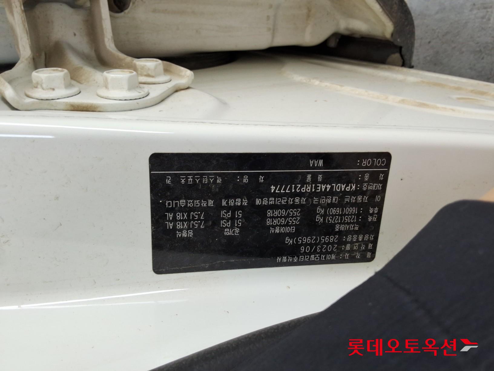 2024 - ssangyong rexton
