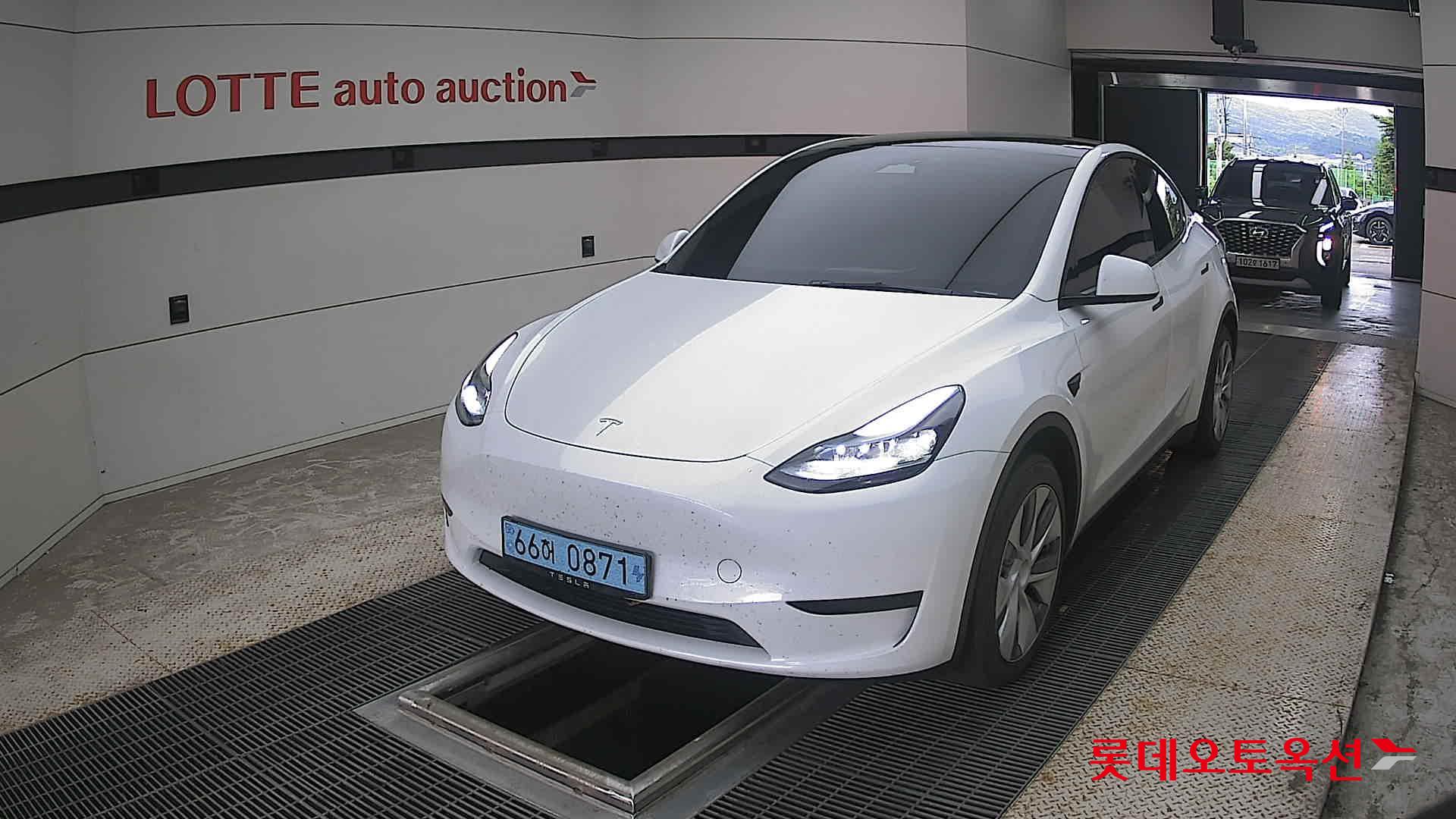 2023 - tesla model y