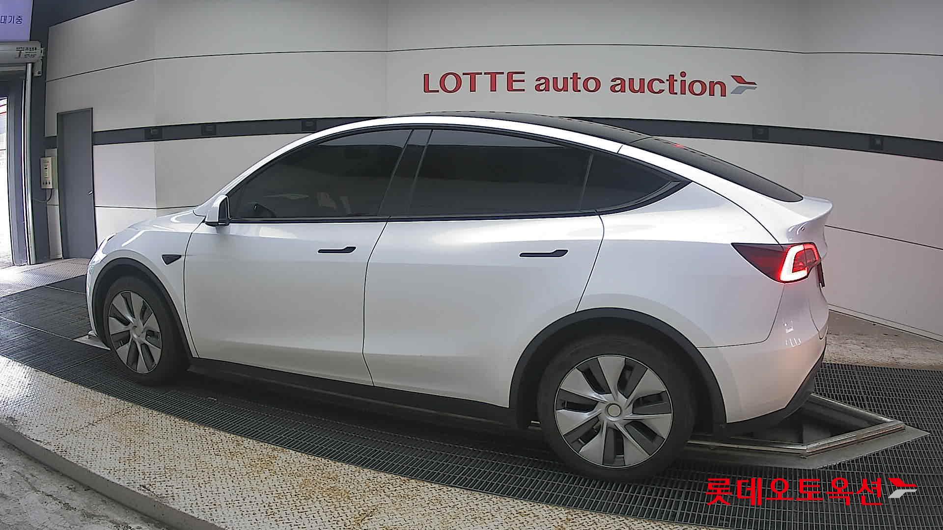 2023 - tesla model y
