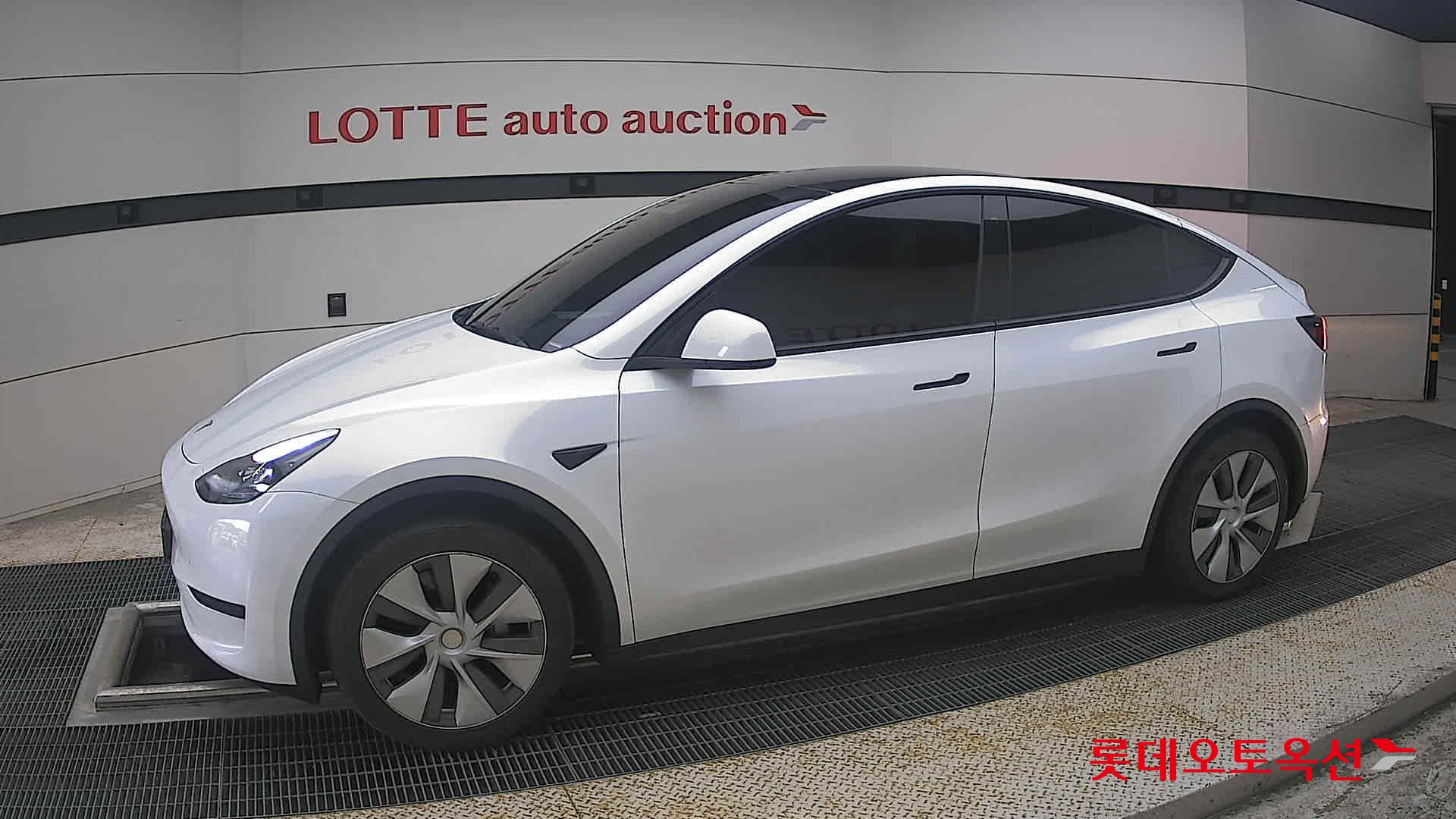 2023 - tesla model y