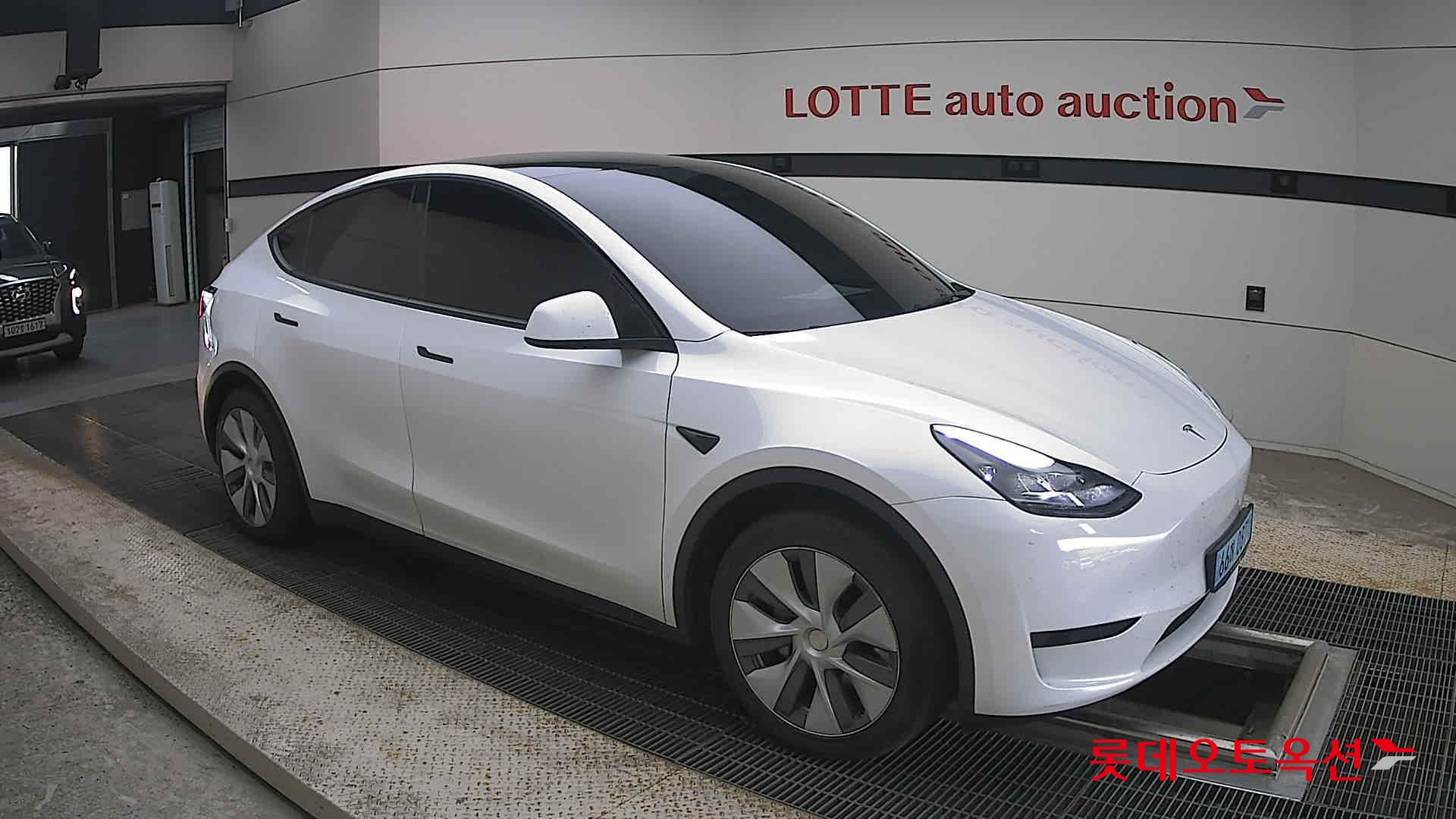 2023 - tesla model y
