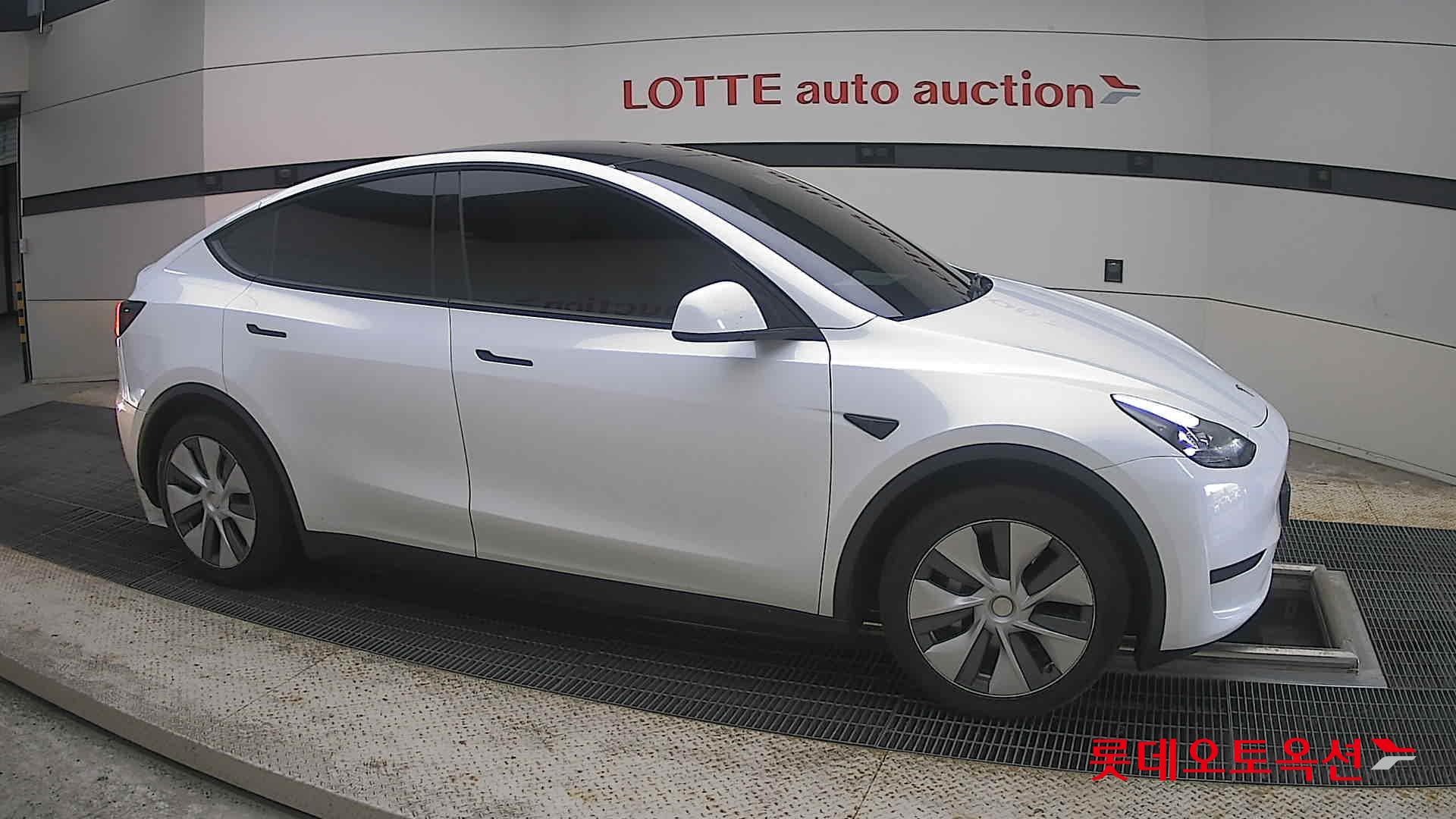 2023 - tesla model y