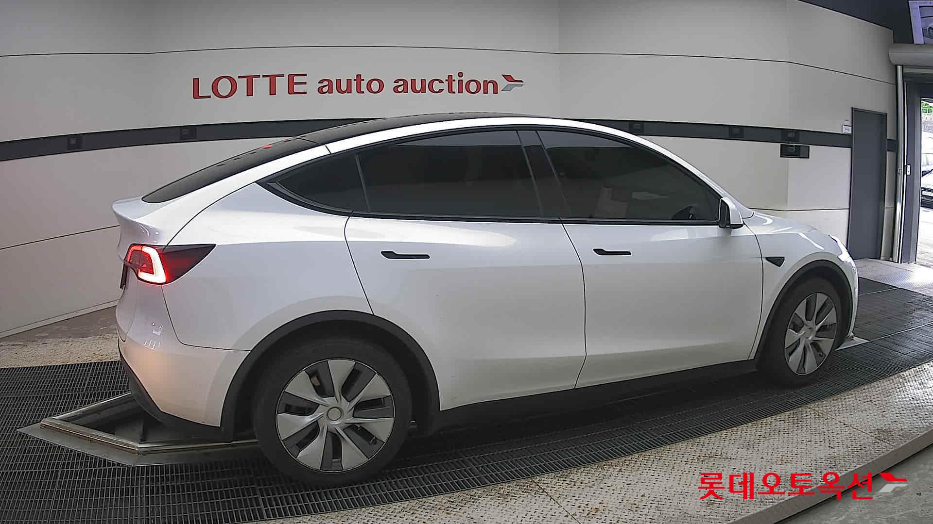 2023 - tesla model y