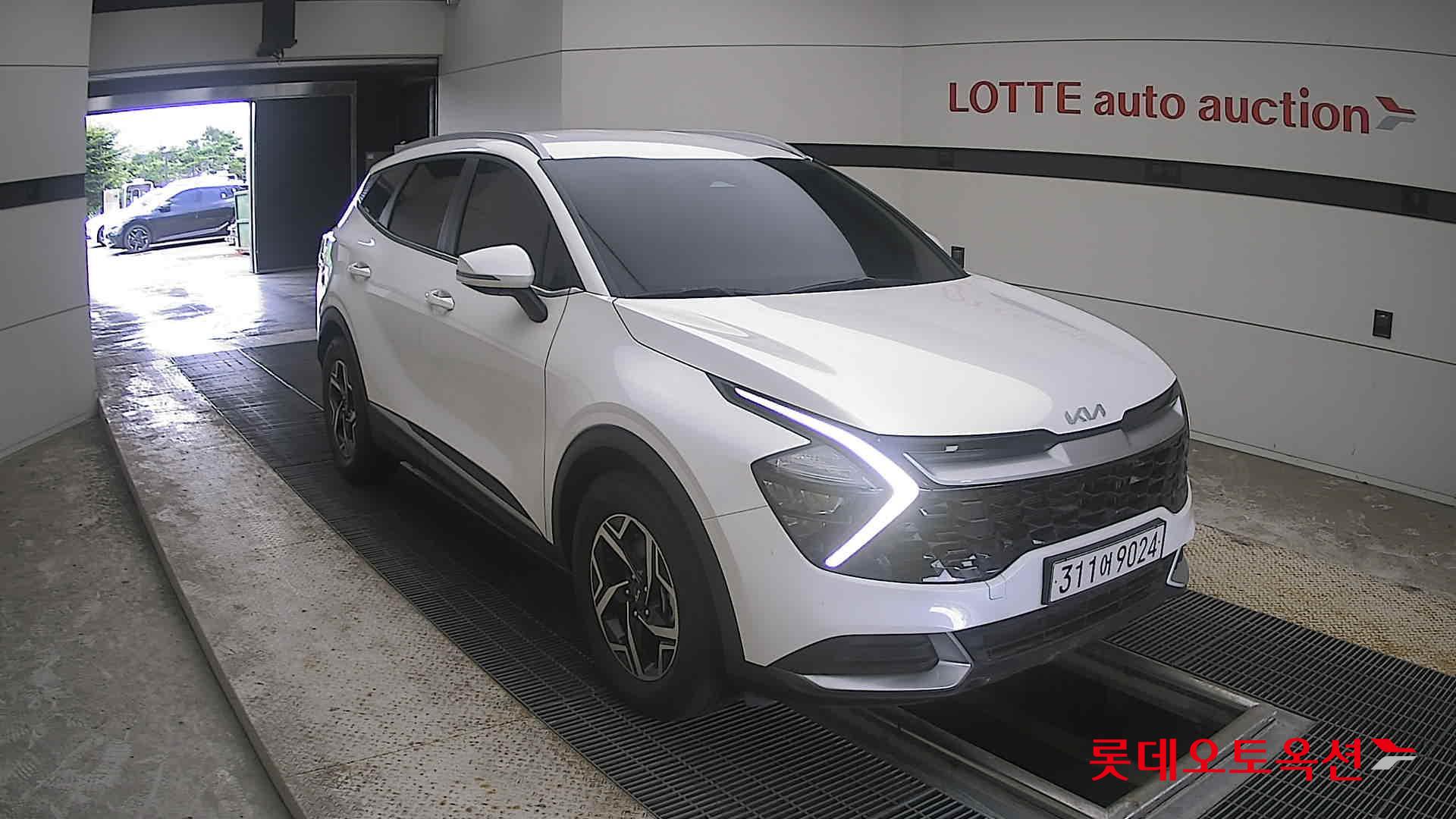 2023 - kia sportage