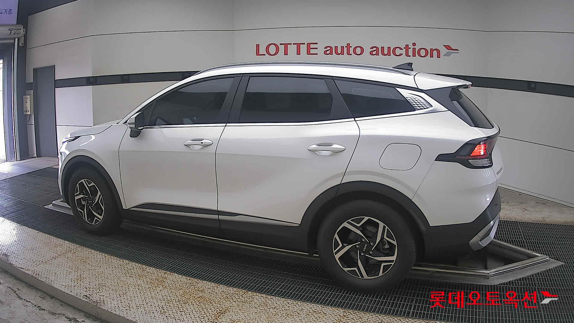 2023 - kia sportage