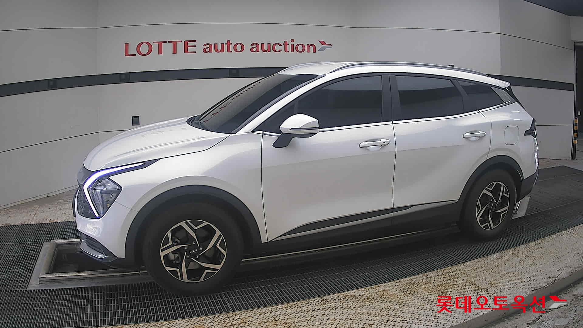 2023 - kia sportage