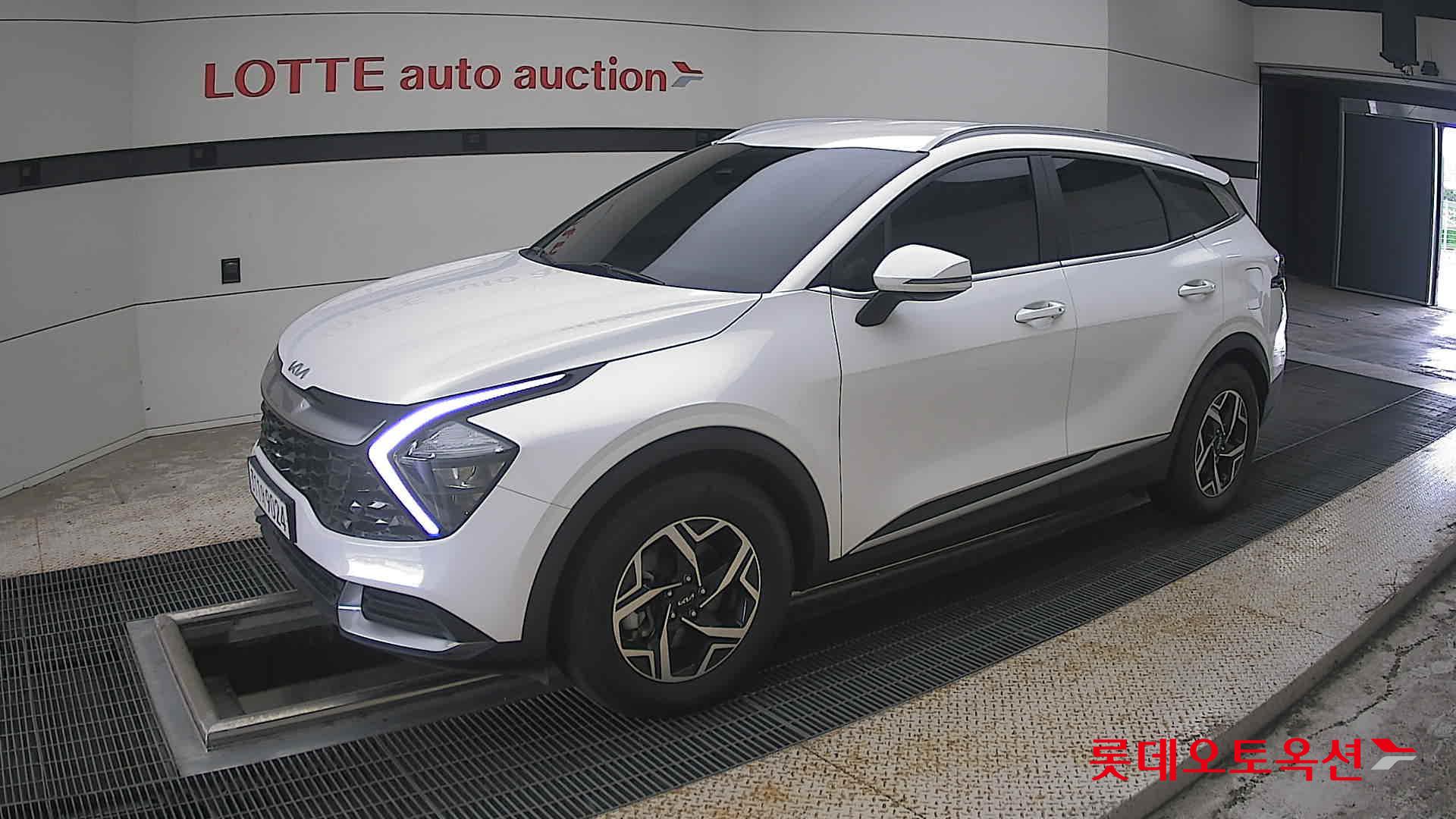 2023 - kia sportage