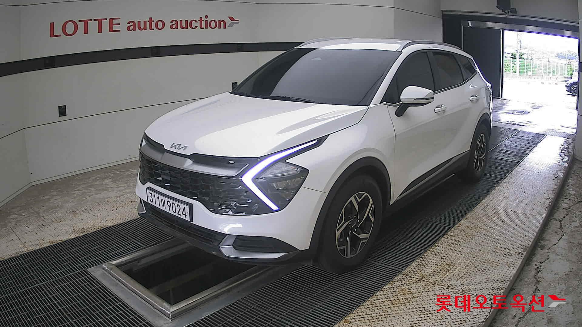 2023 - kia sportage