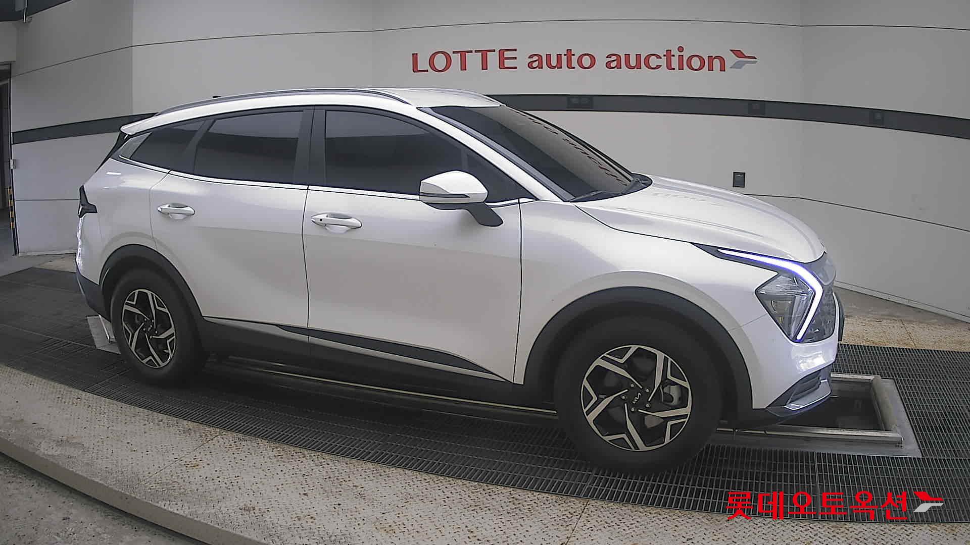 2023 - kia sportage