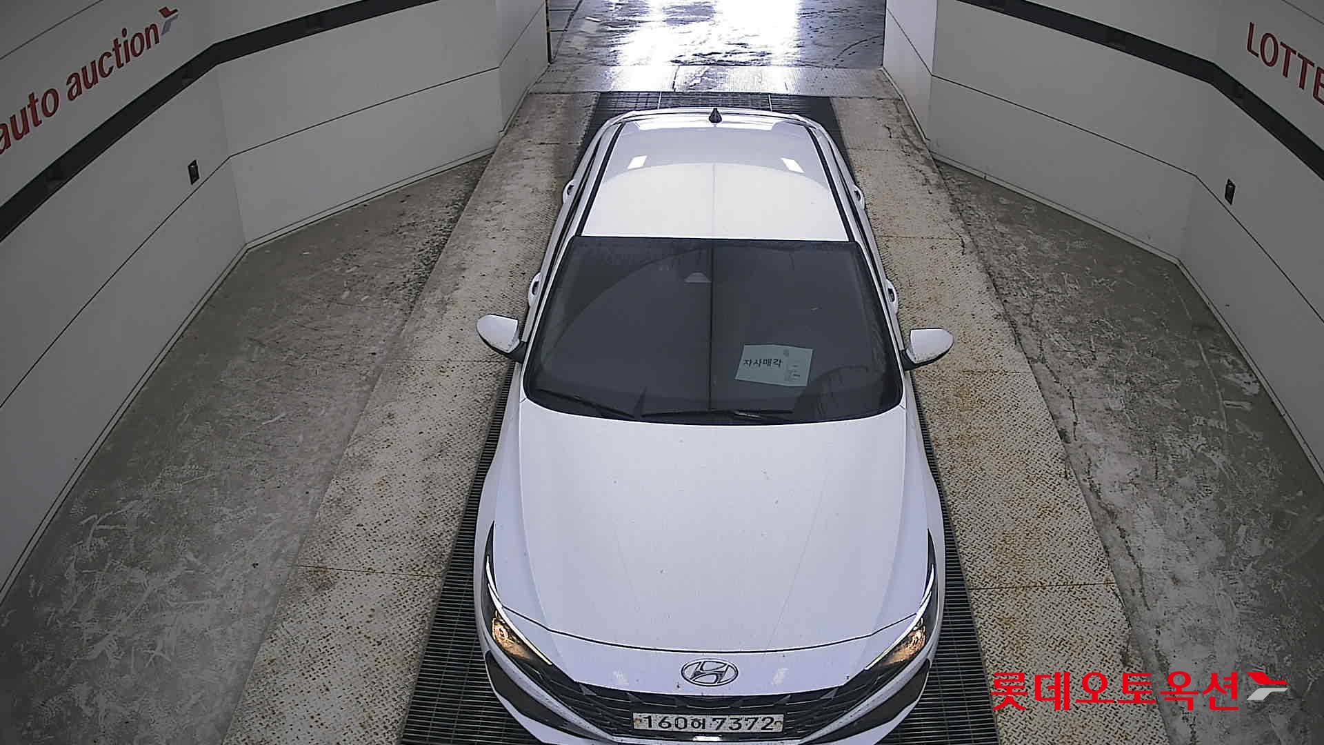 2021 - hyundai avante