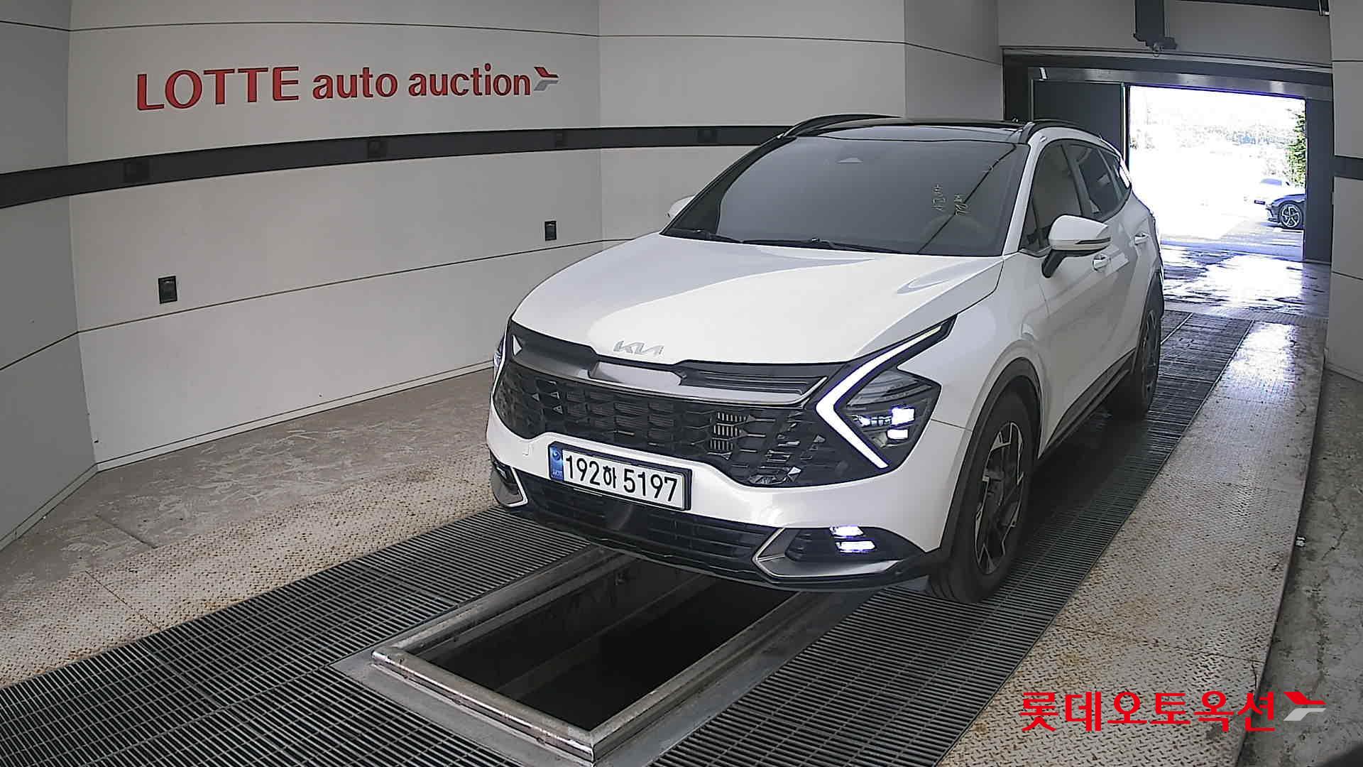 2023 - kia sportage