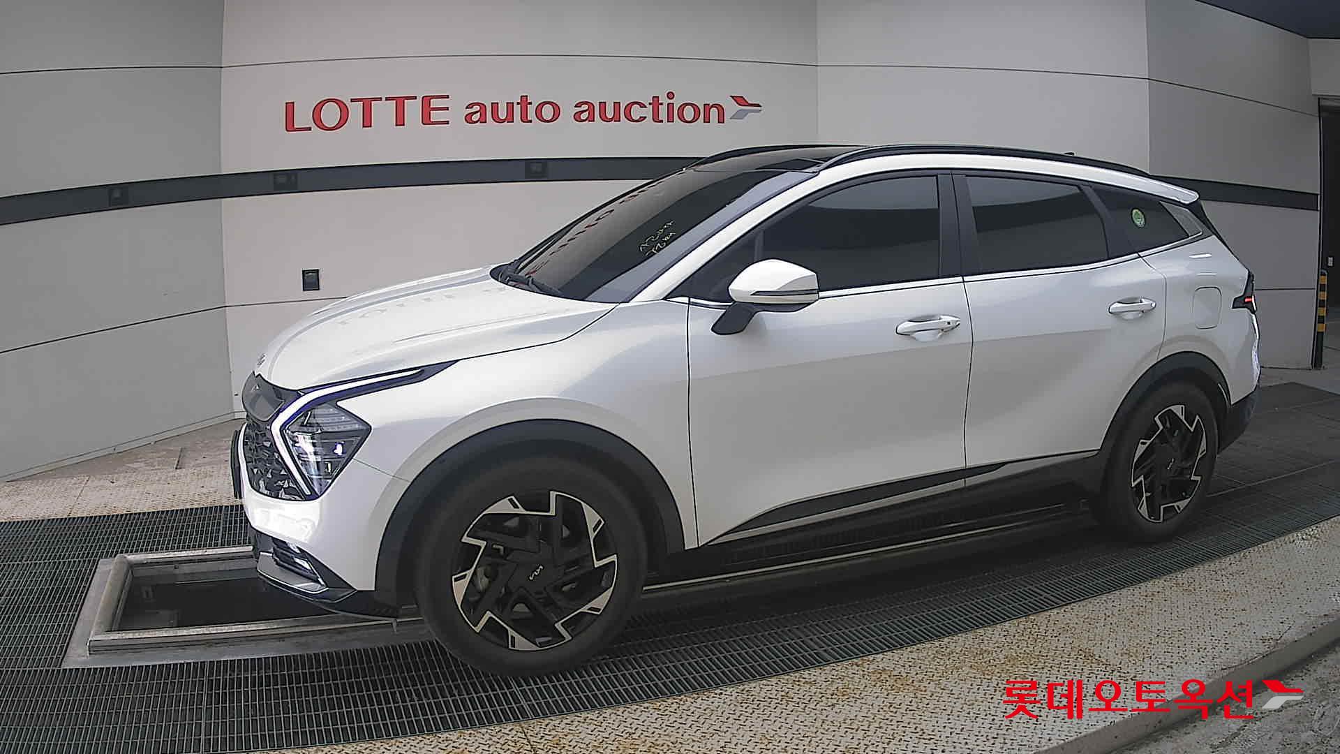 2023 - kia sportage