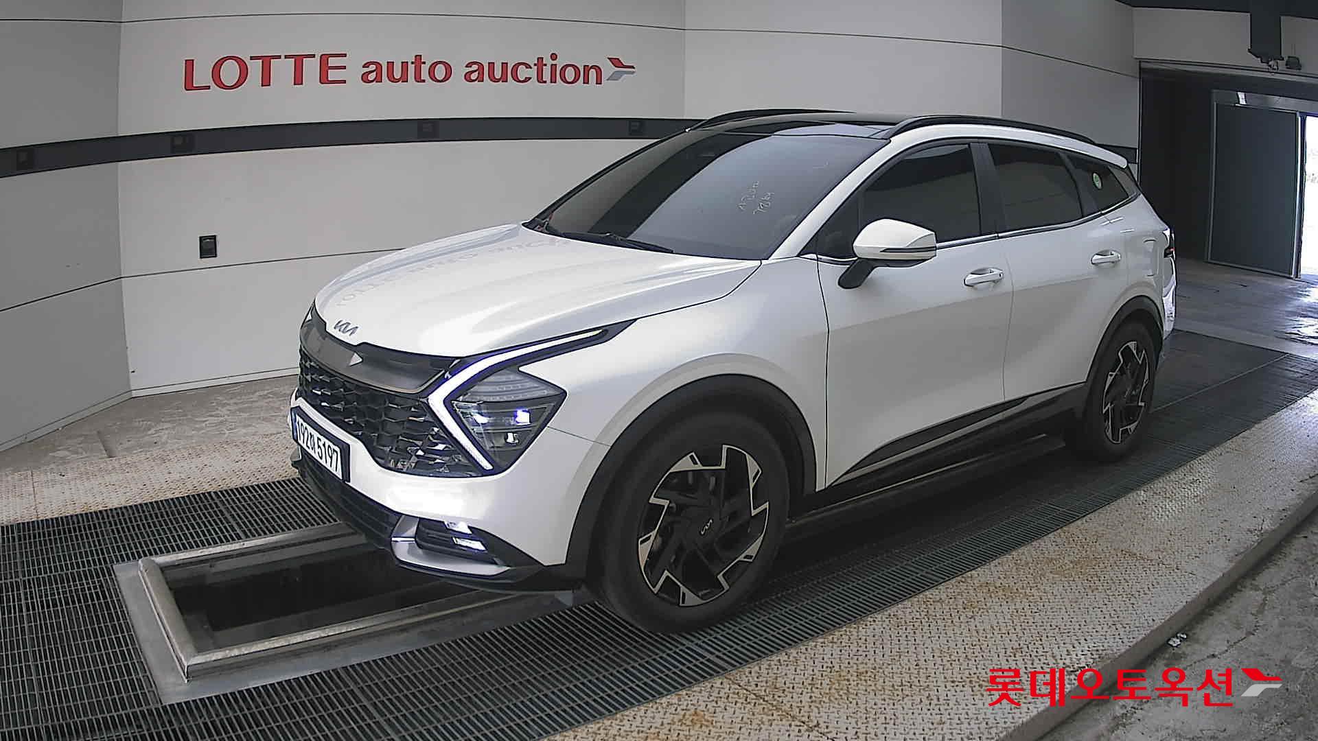 2023 - kia sportage