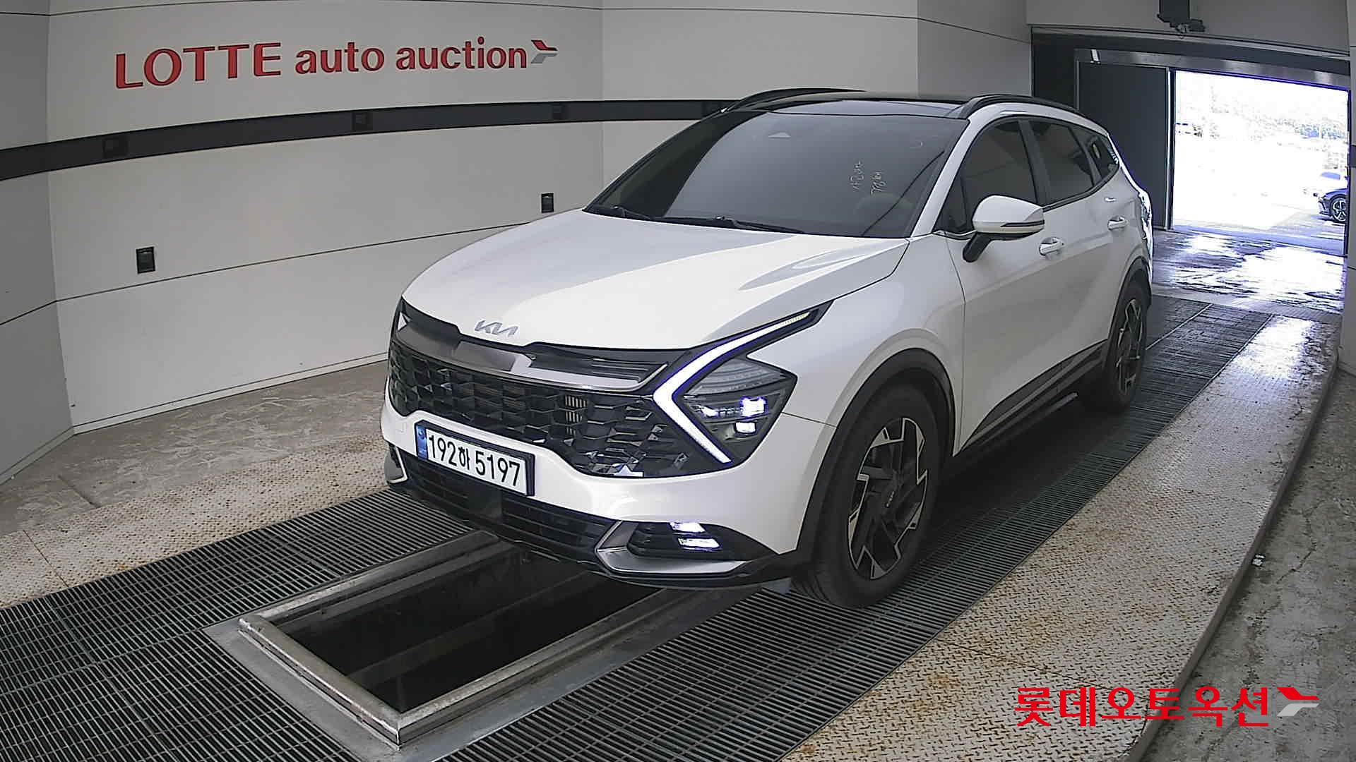 2023 - kia sportage