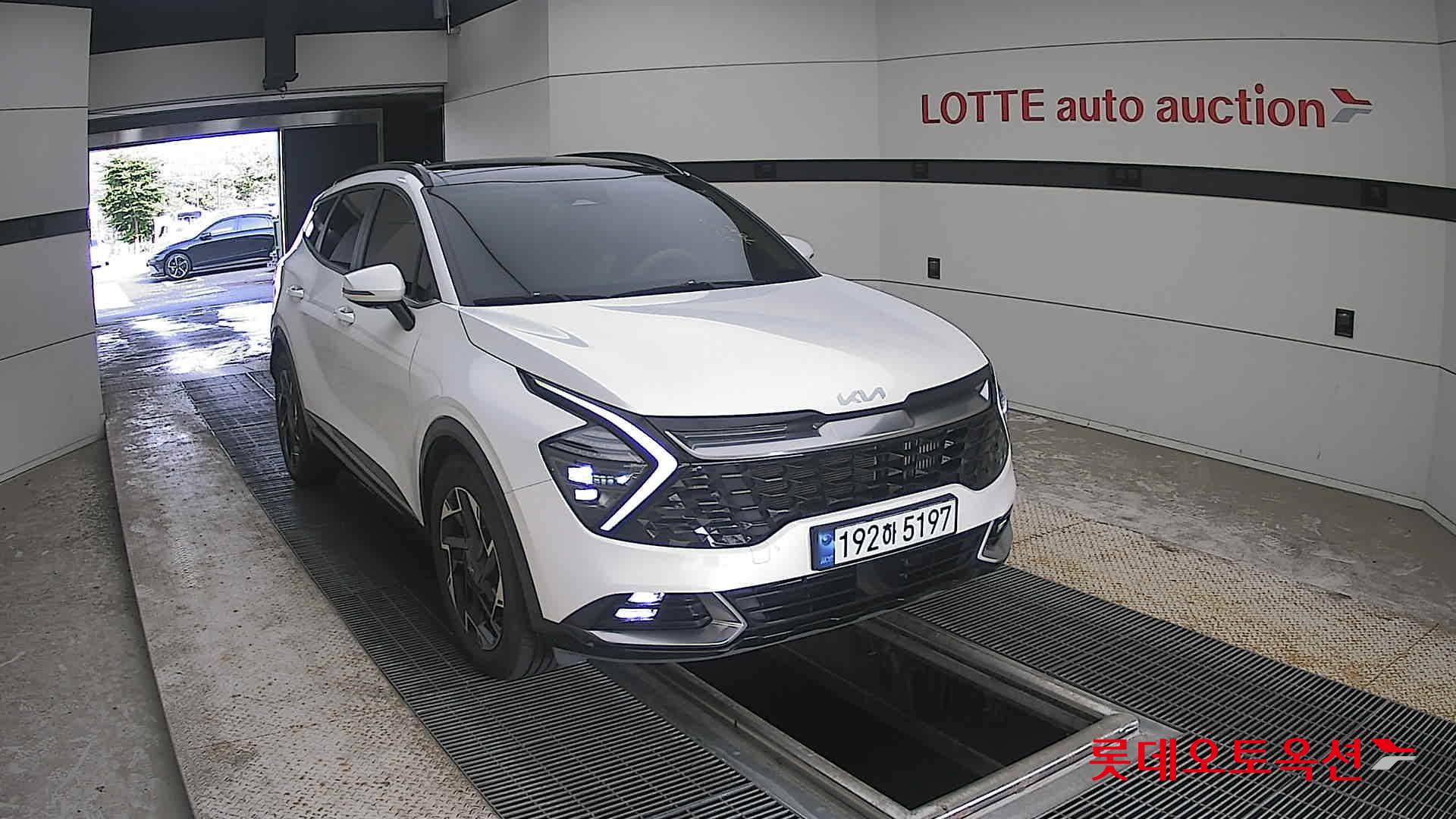 2023 - kia sportage