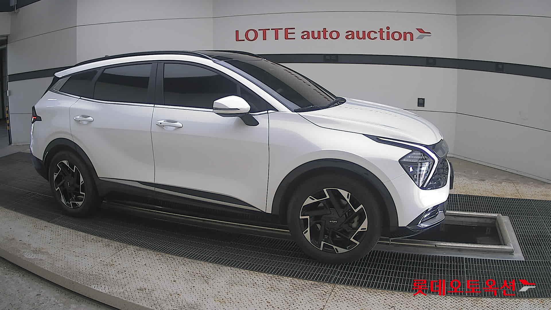 2023 - kia sportage