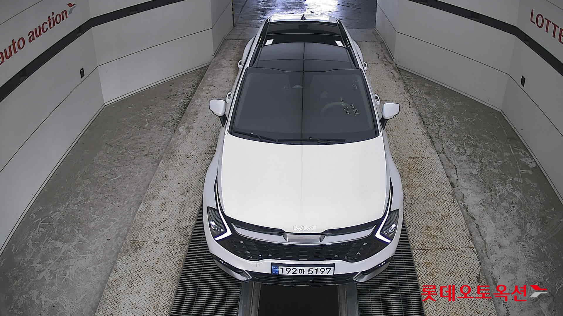 2023 - kia sportage