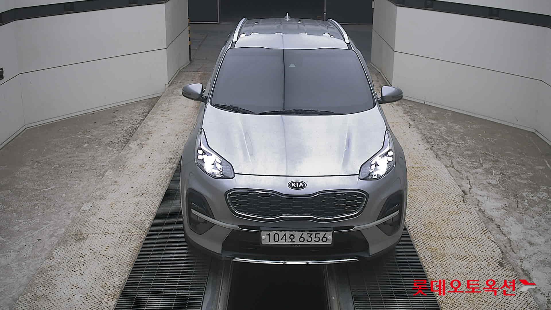 BOLD SPORTAGE (D)