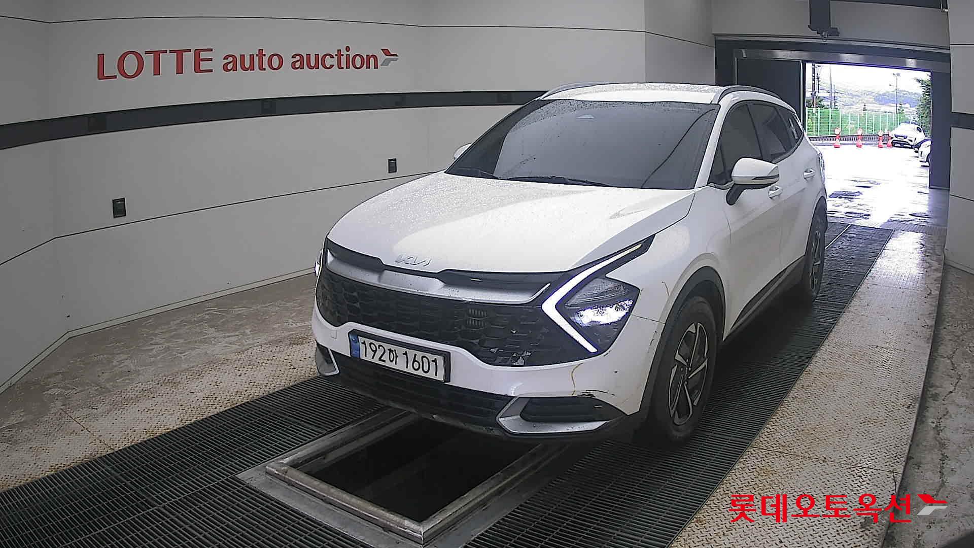 2023 - kia sportage