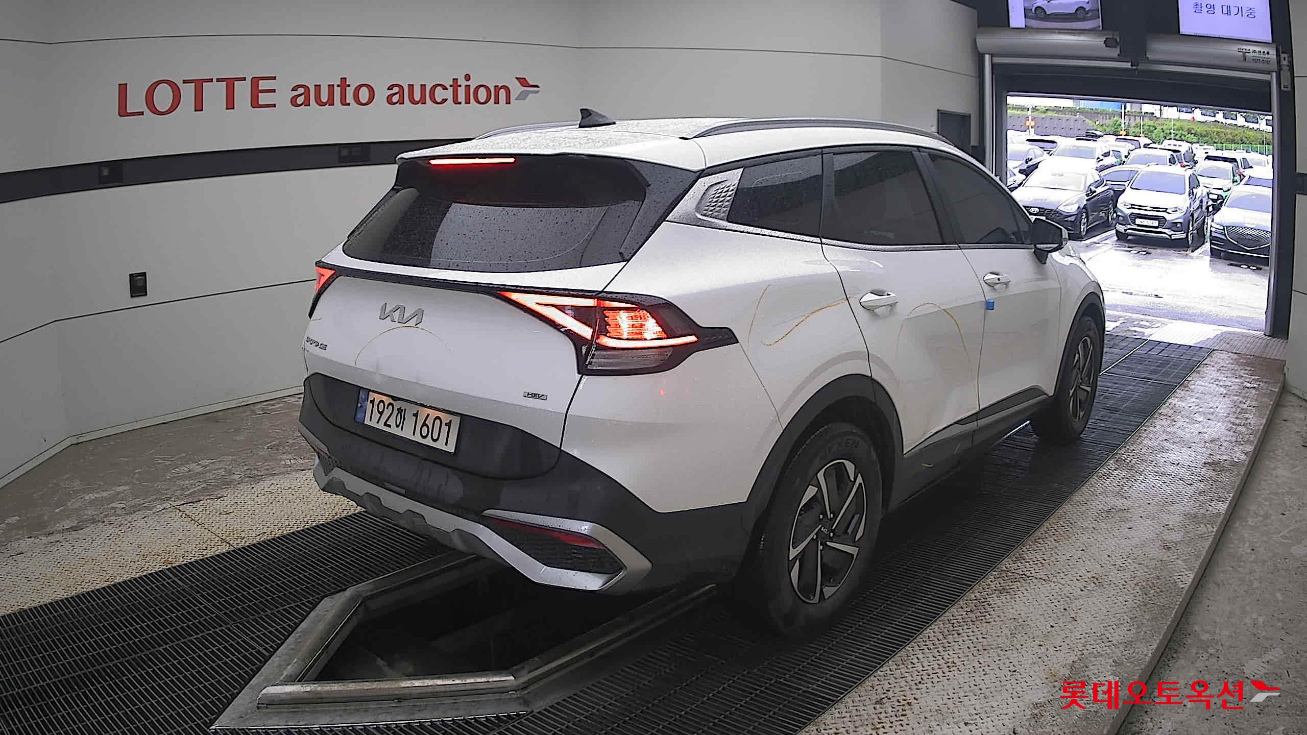 2023 - kia sportage