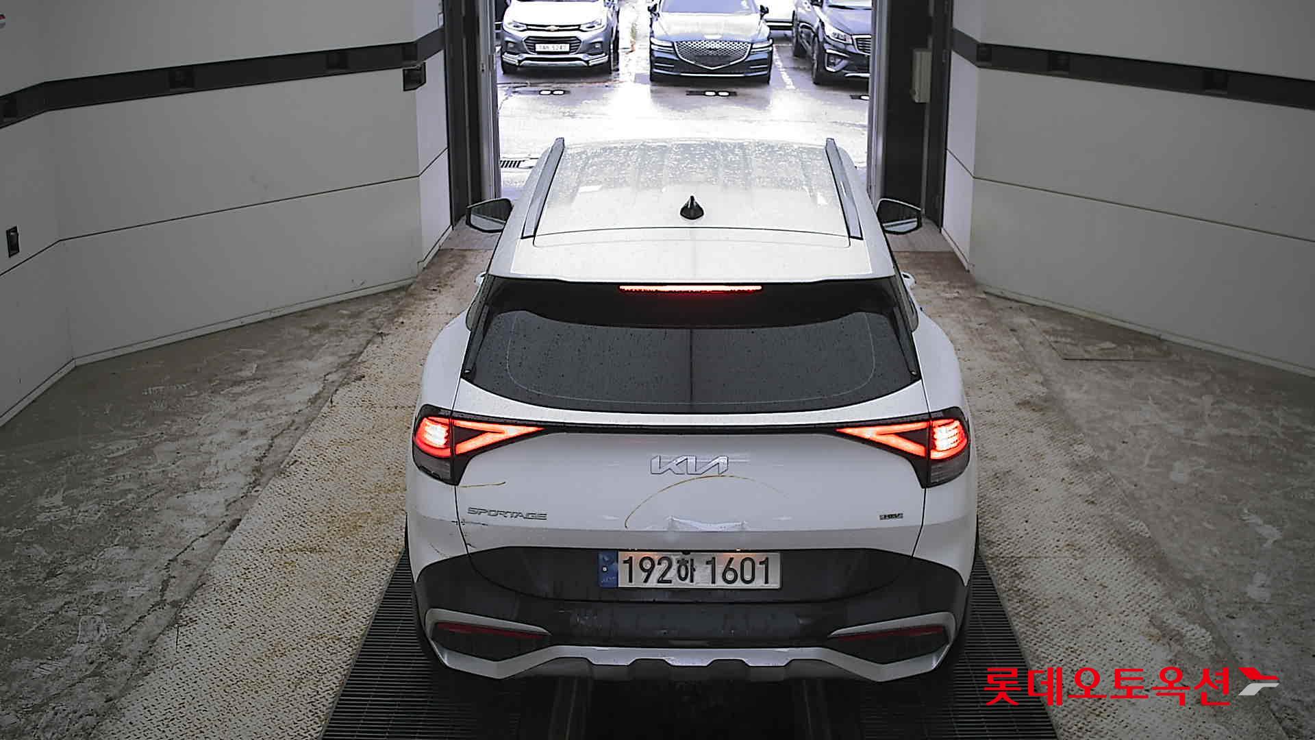 2023 - kia sportage