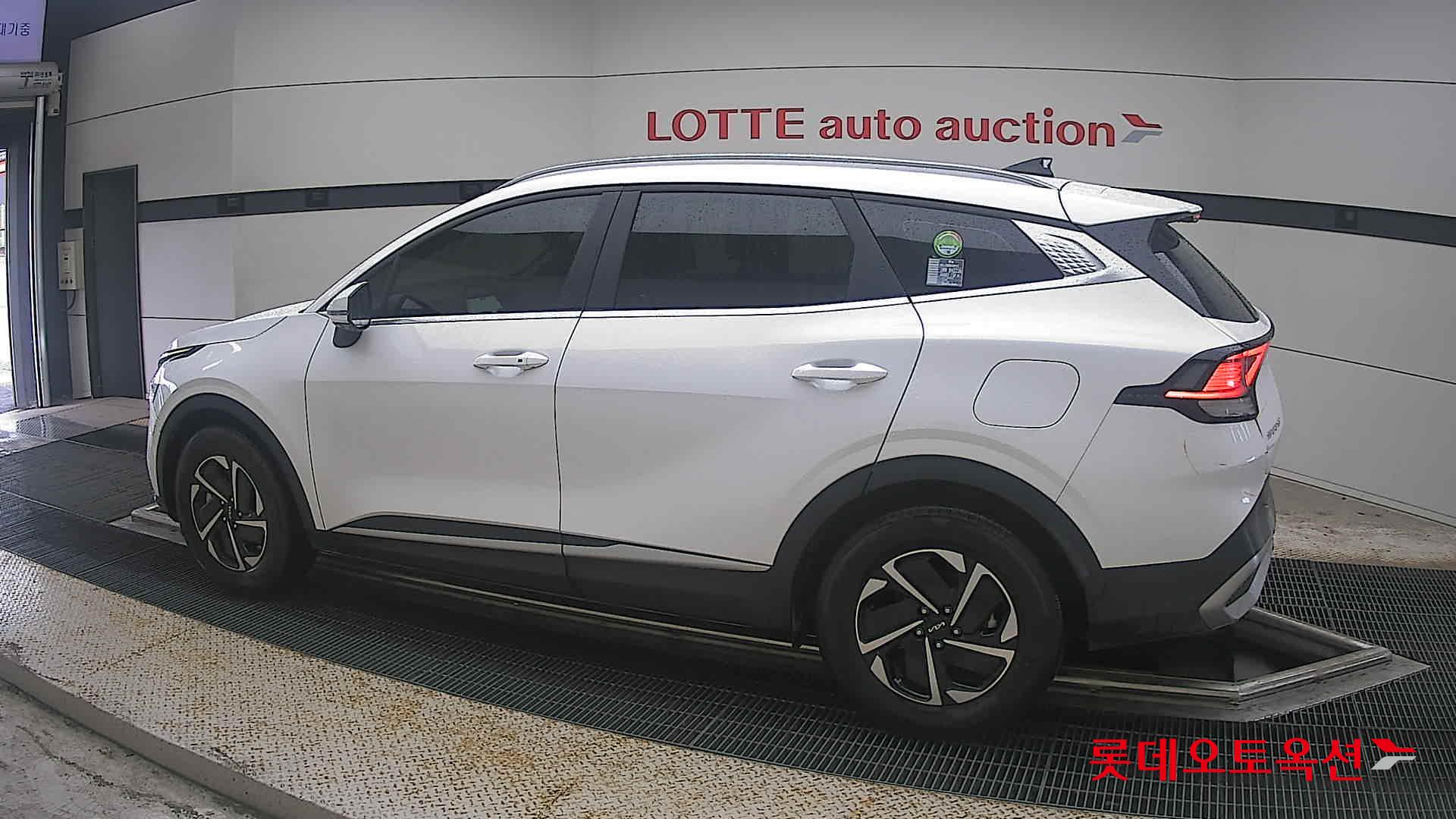 2023 - kia sportage