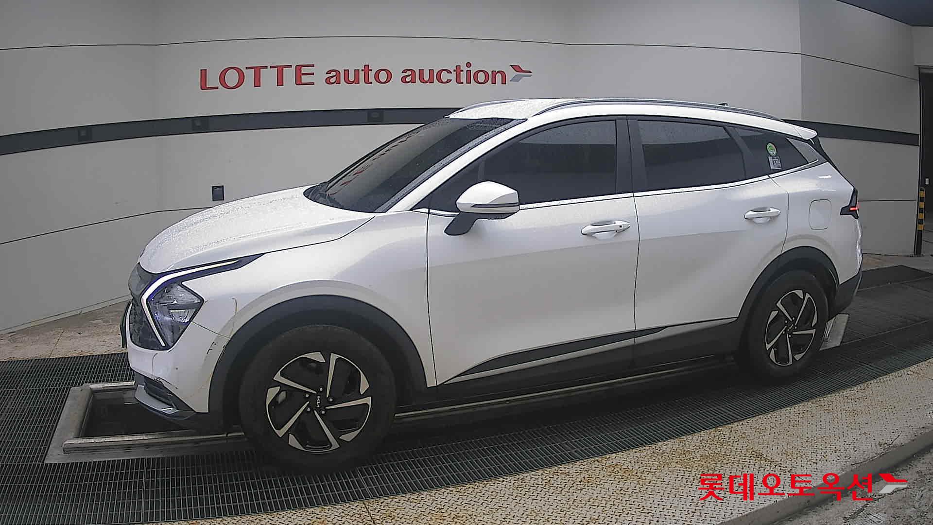 2023 - kia sportage