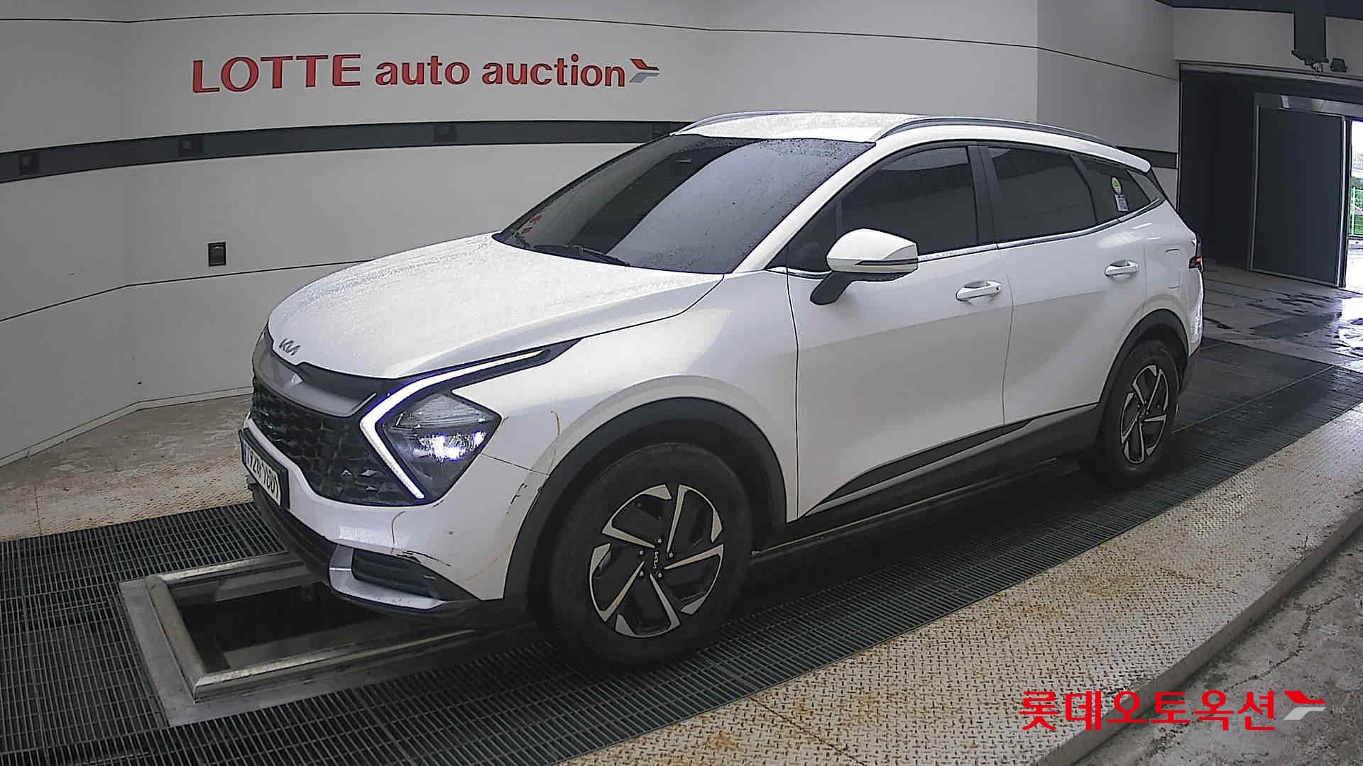 2023 - kia sportage