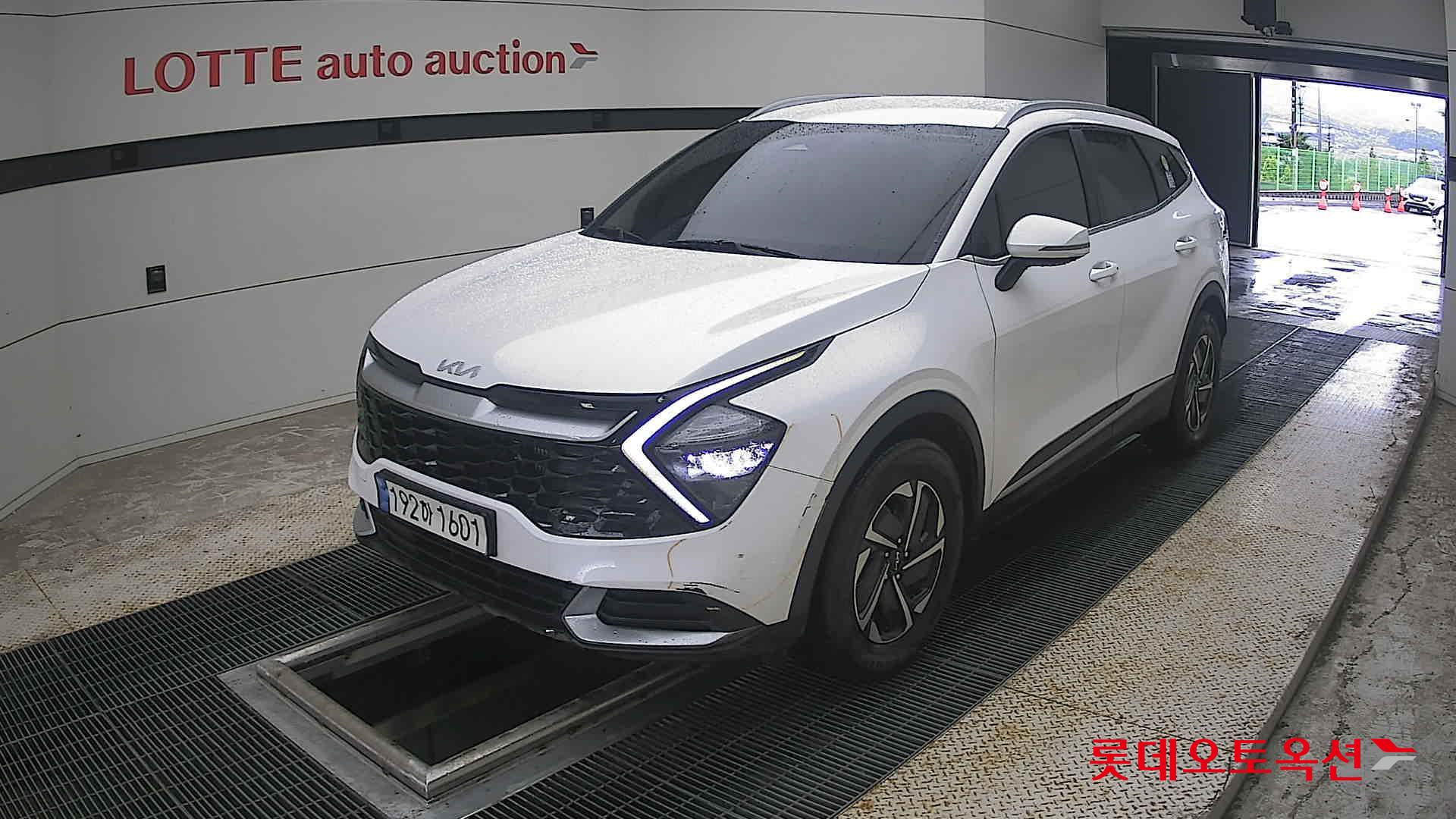 2023 - kia sportage