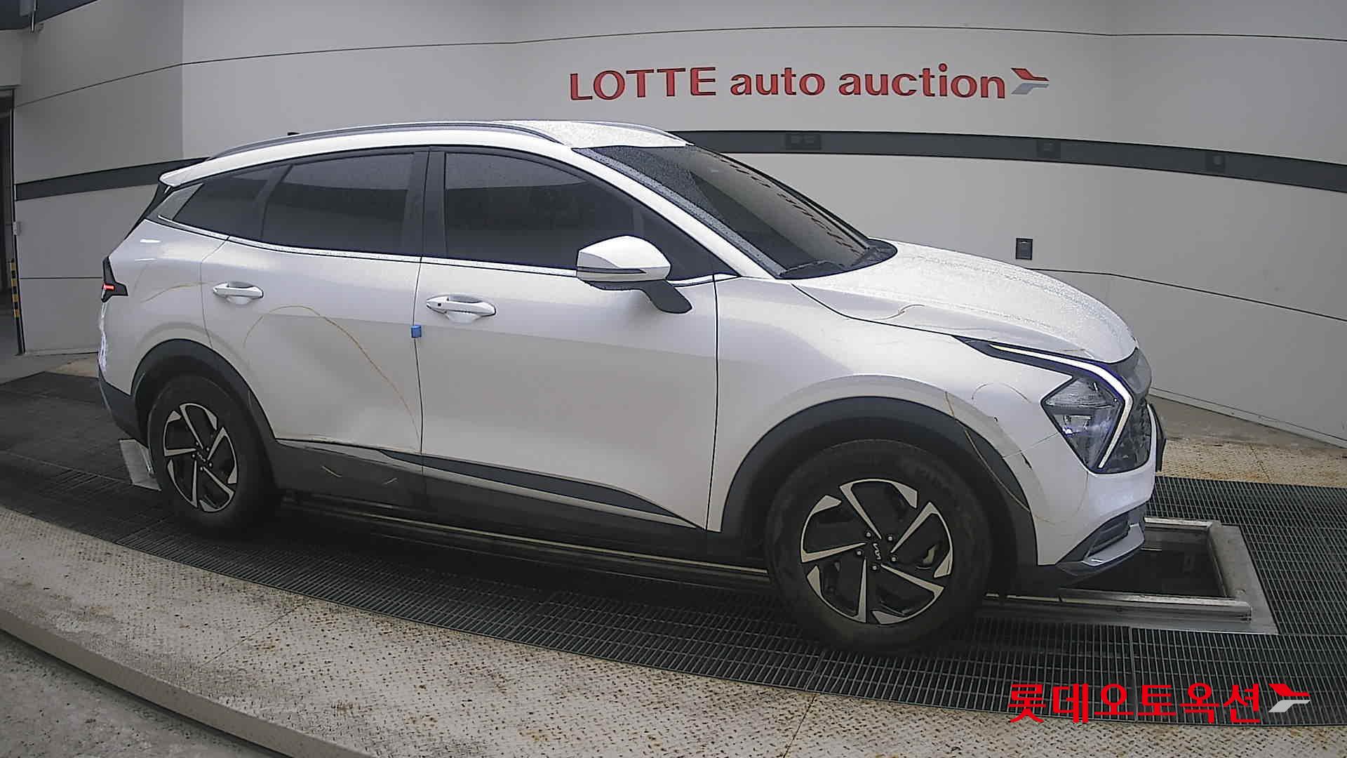2023 - kia sportage