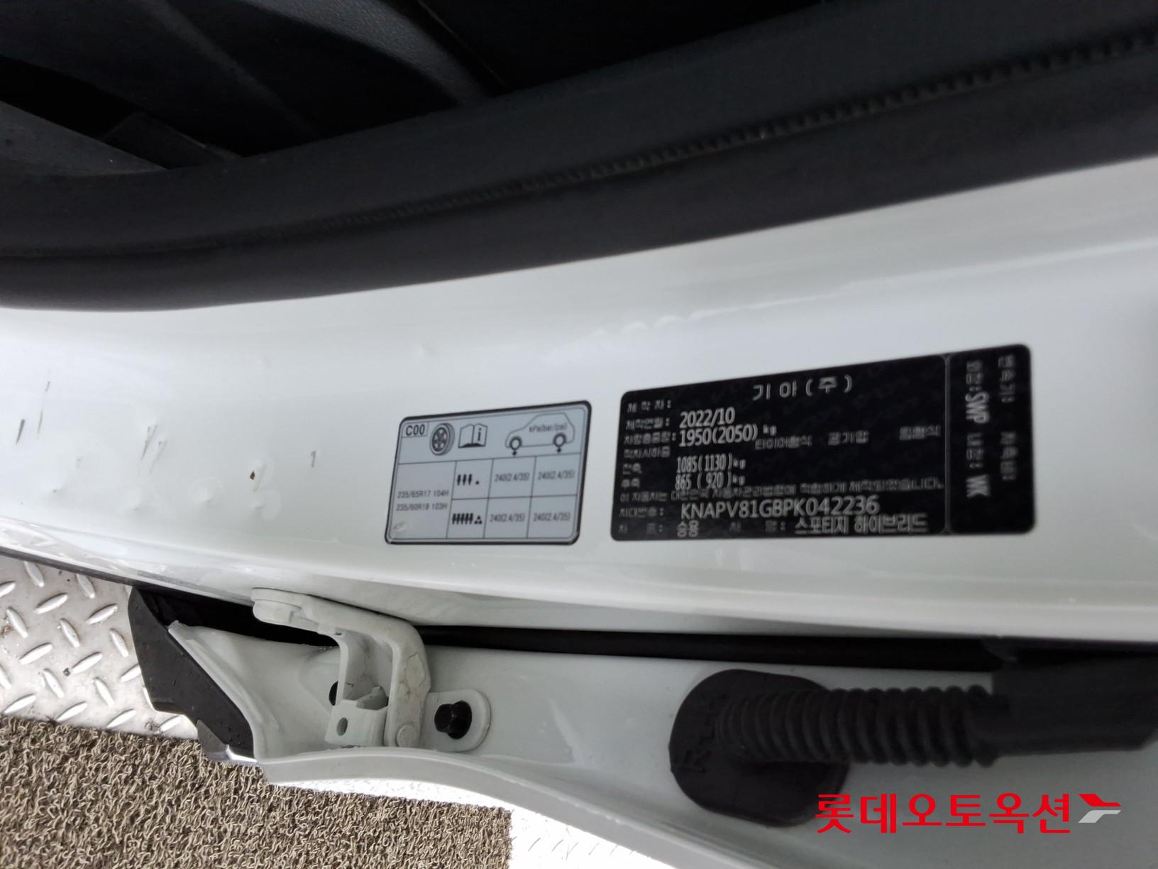2023 - kia sportage