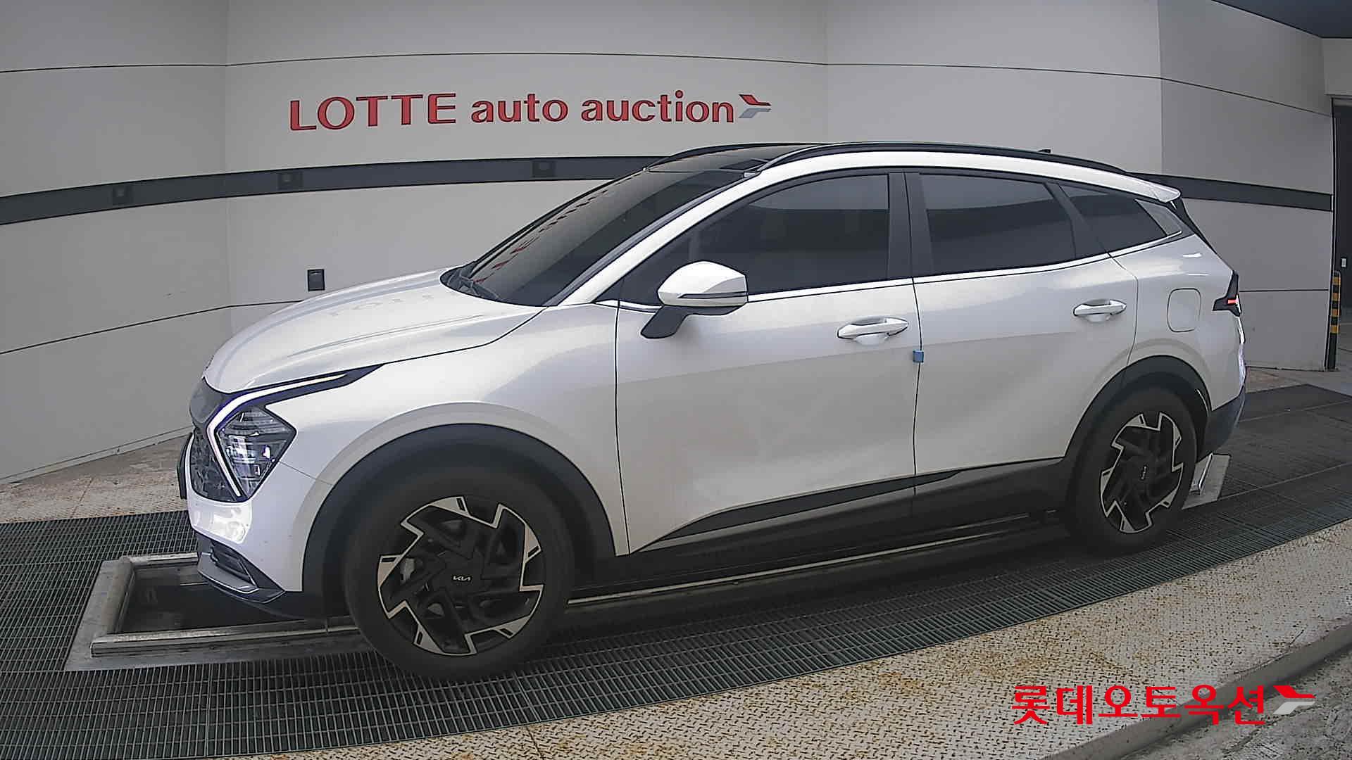 2023 - kia sportage