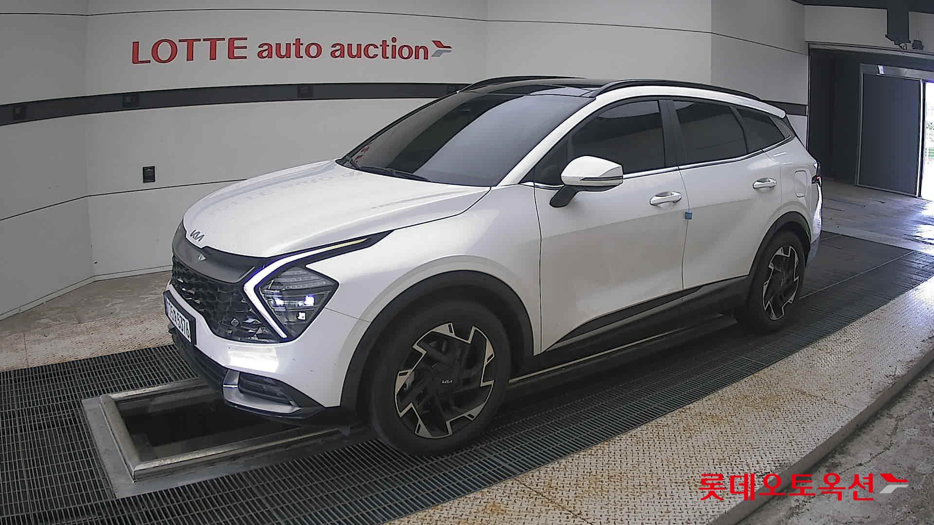 2023 - kia sportage