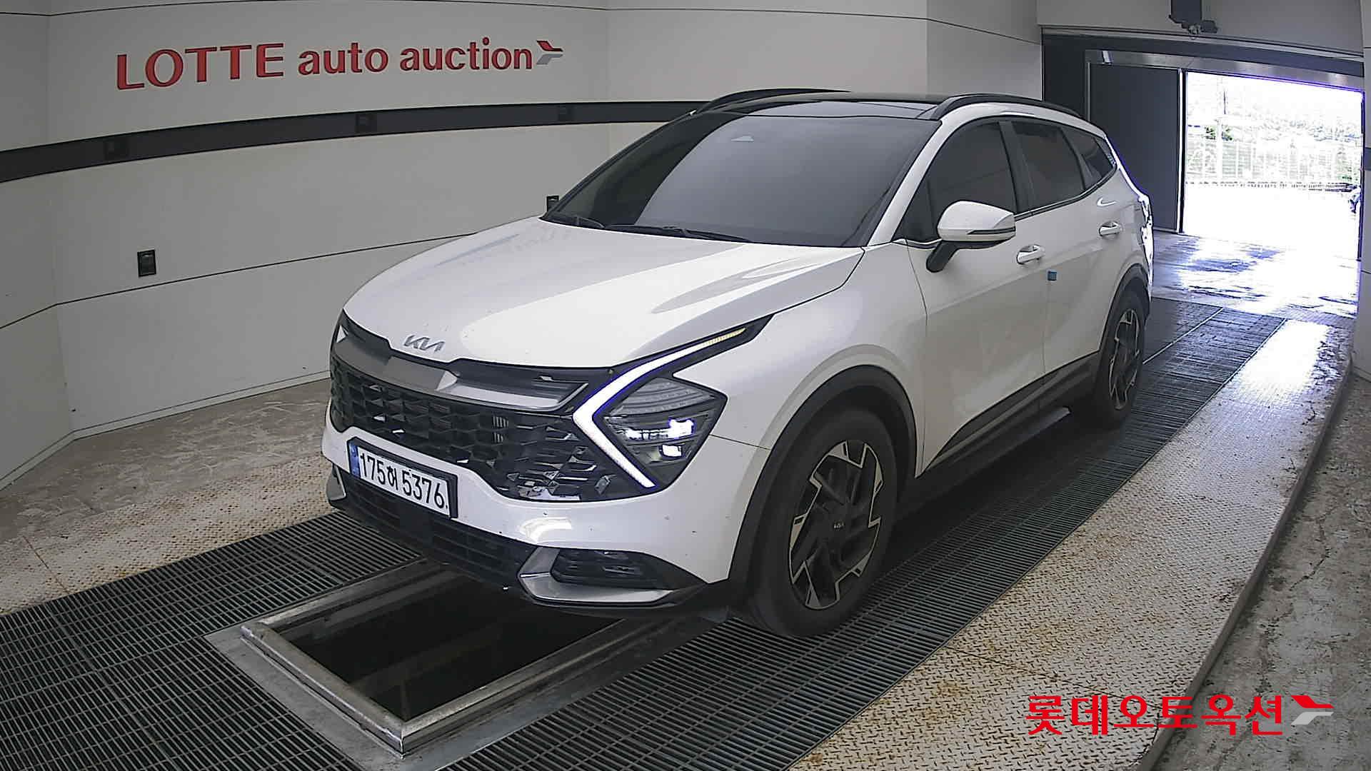 2023 - kia sportage