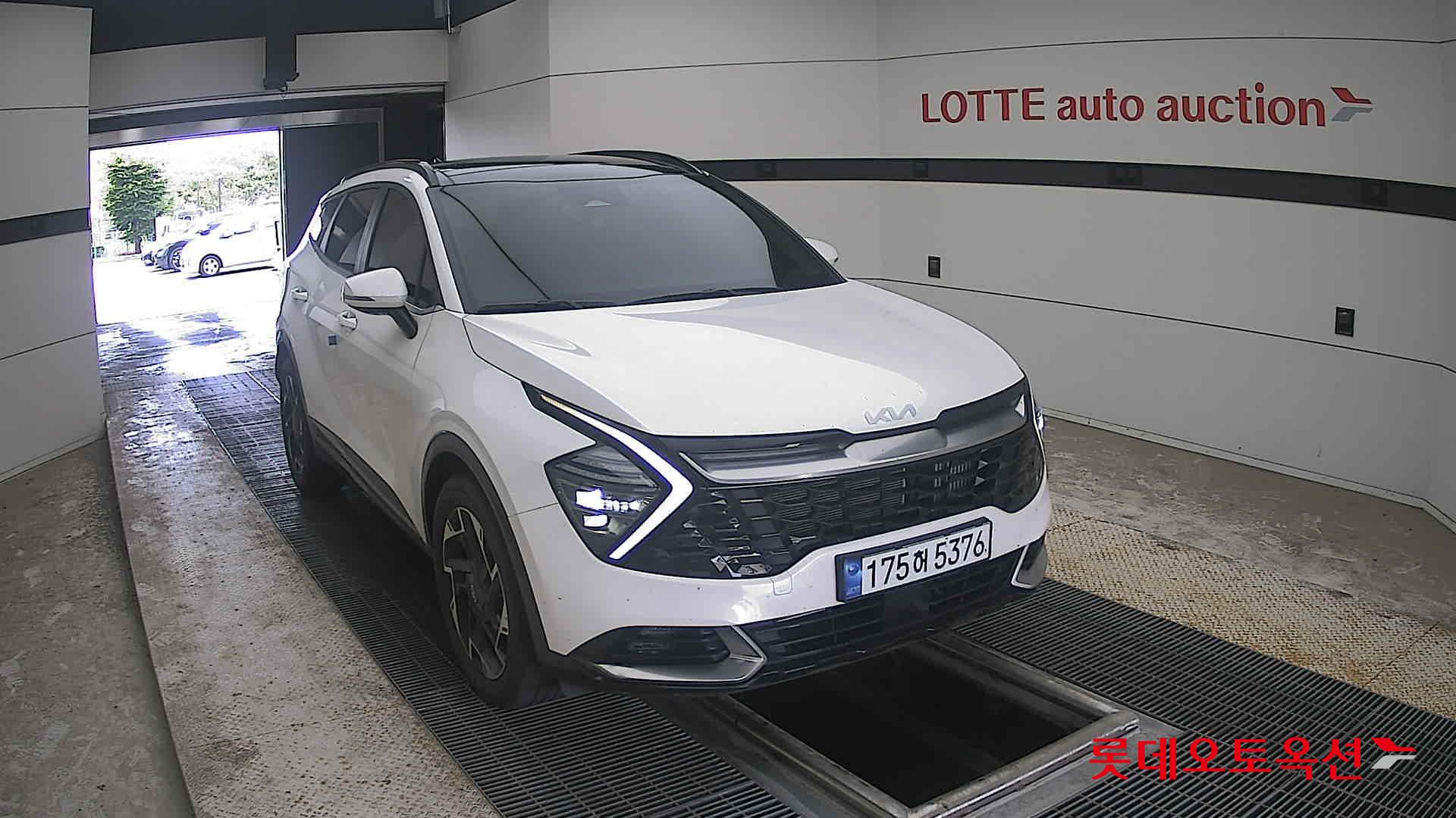 2023 - kia sportage