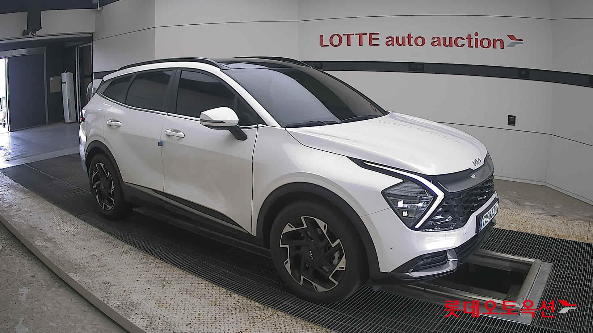 2023 - kia sportage