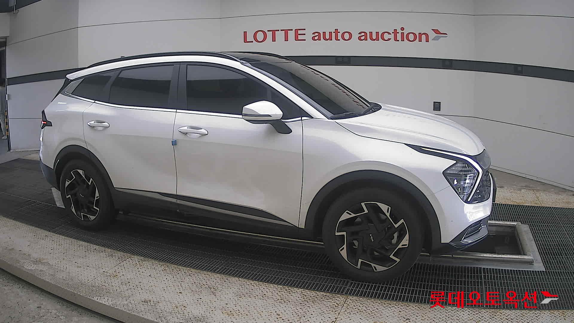 2023 - kia sportage