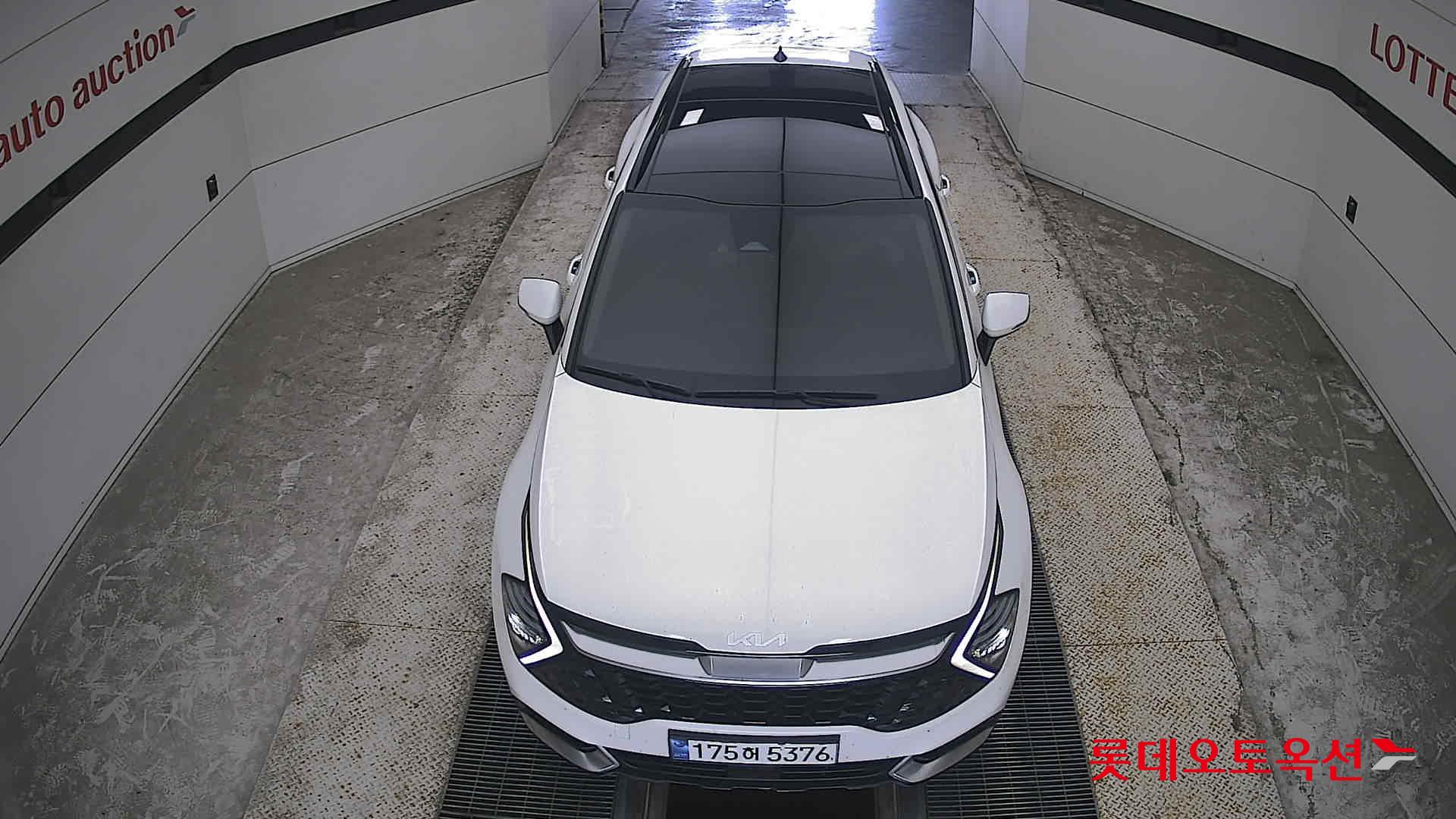 2023 - kia sportage