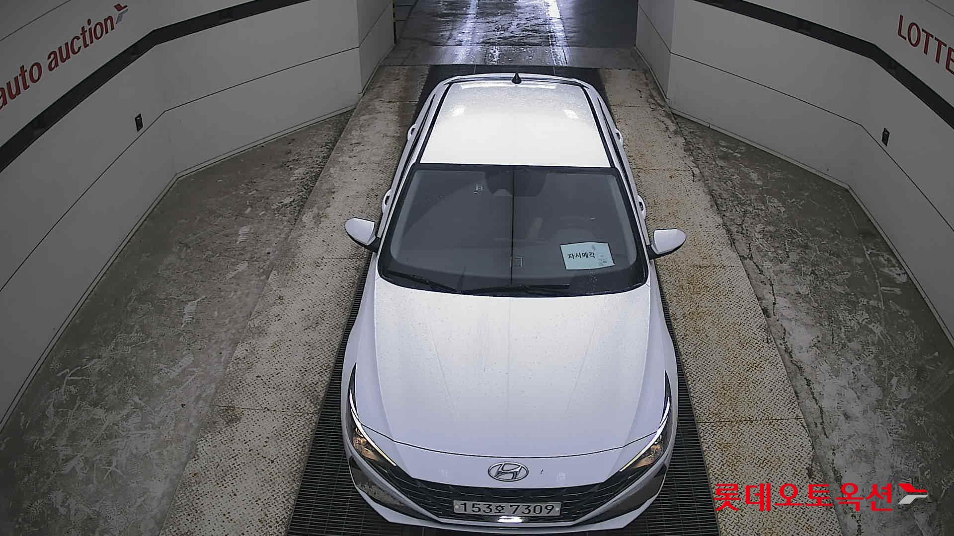 2021 - hyundai avante