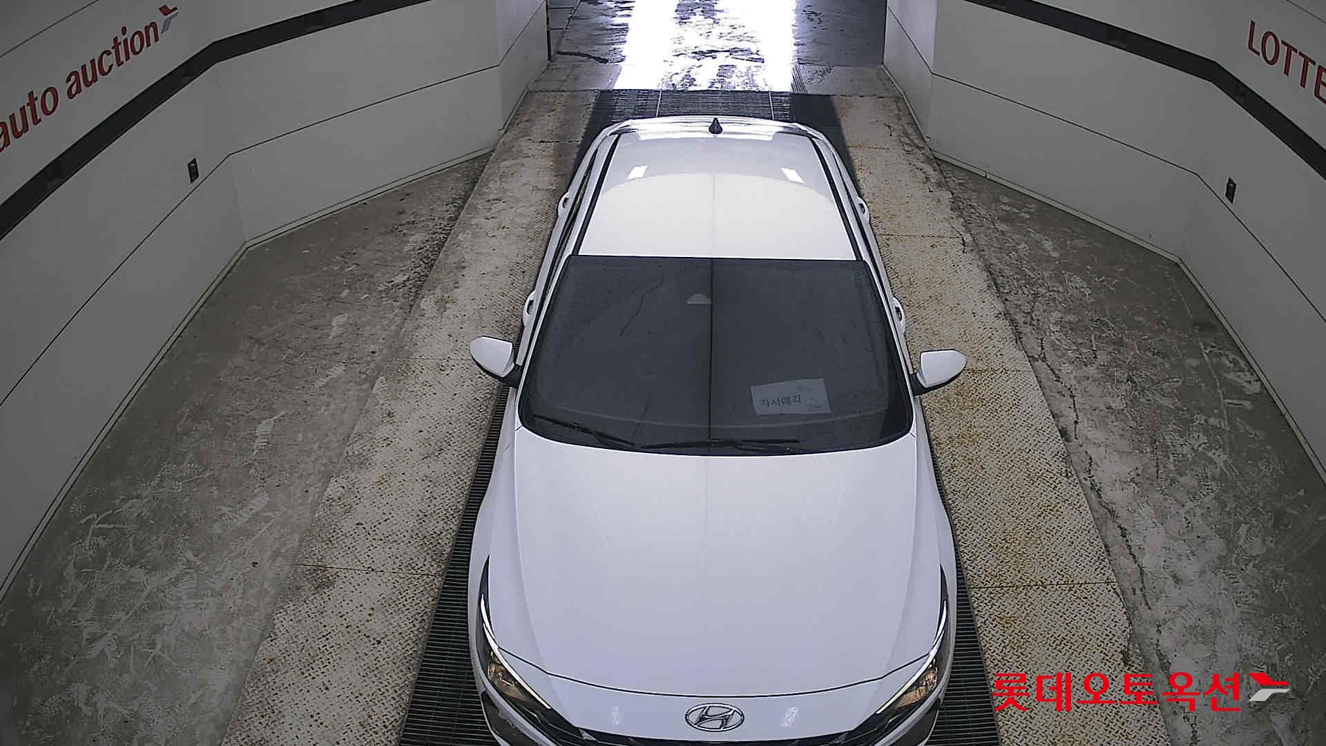 2021 - hyundai avante