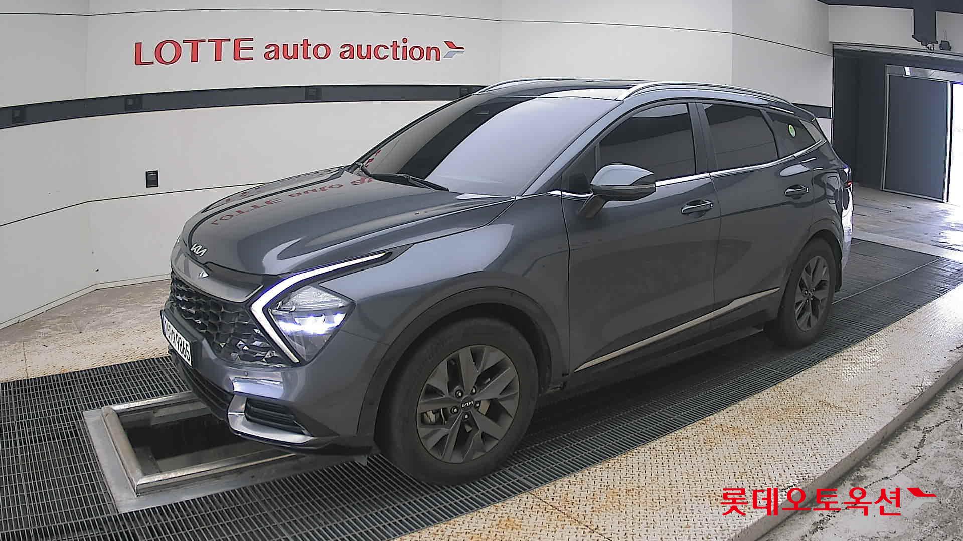 2023 - kia sportage