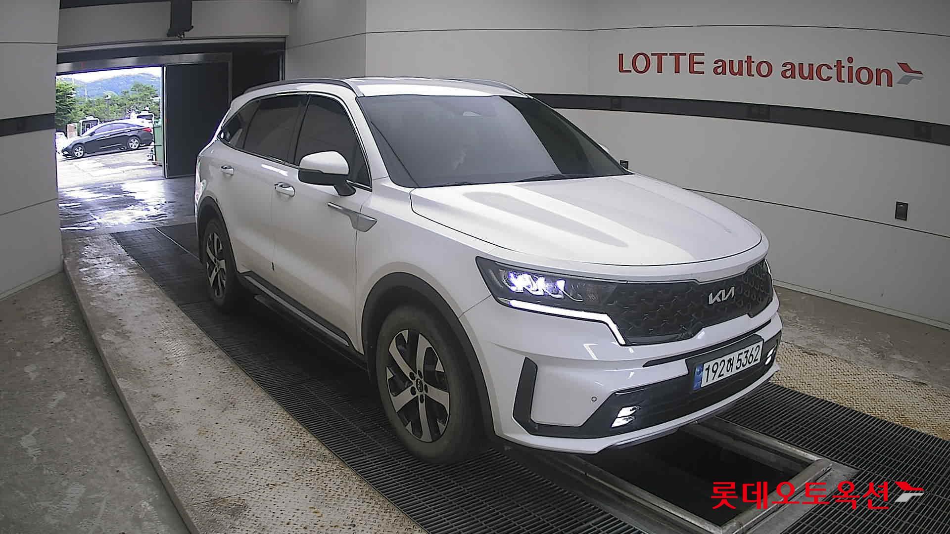 2023 - kia sorento