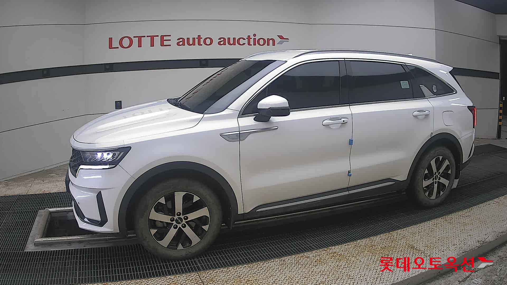 2023 - kia sorento