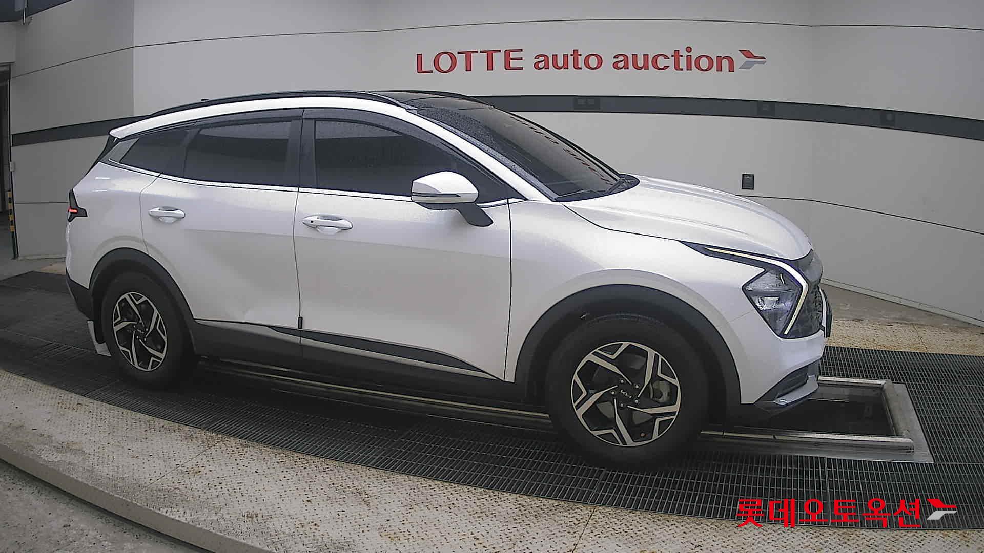 2022 - kia sportage