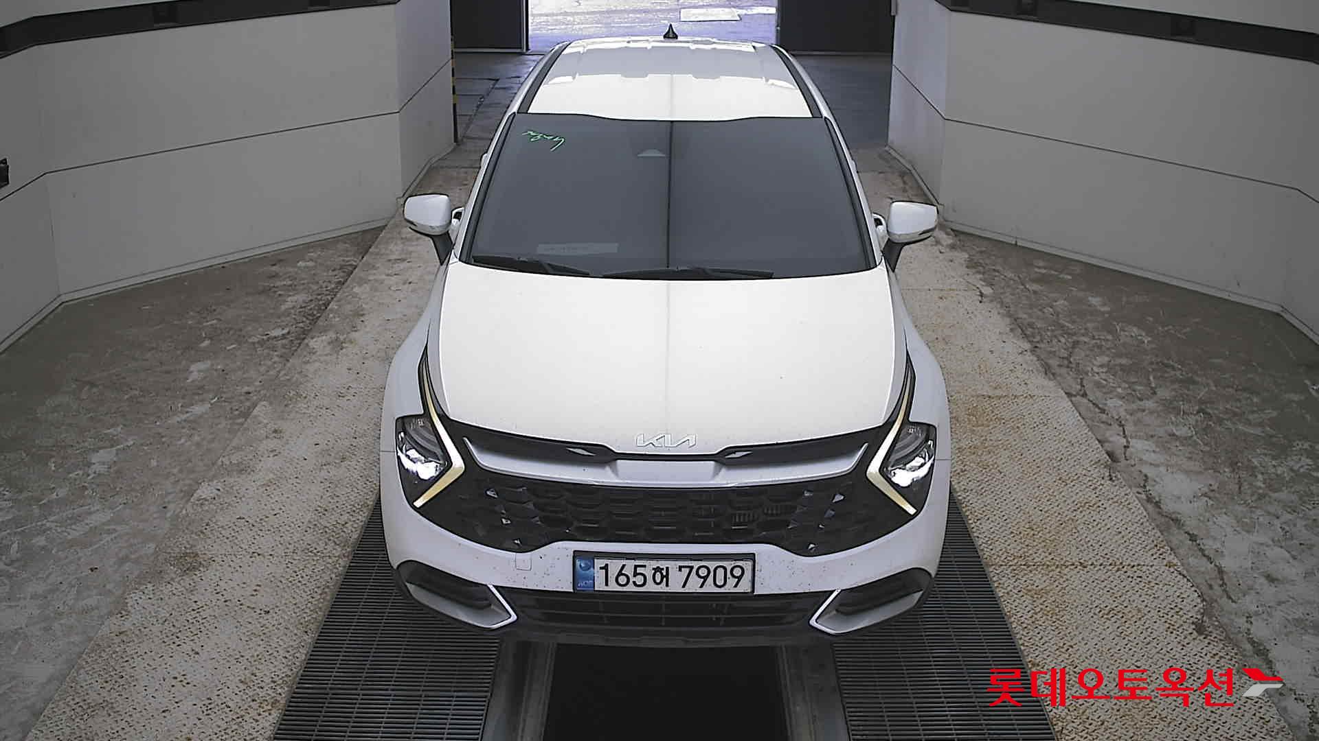 SPORTAGE NQ5 (D)