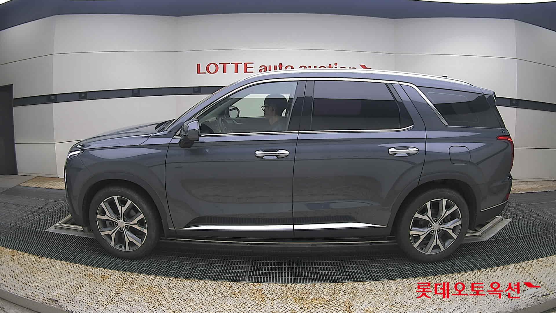2021 - hyundai palisade